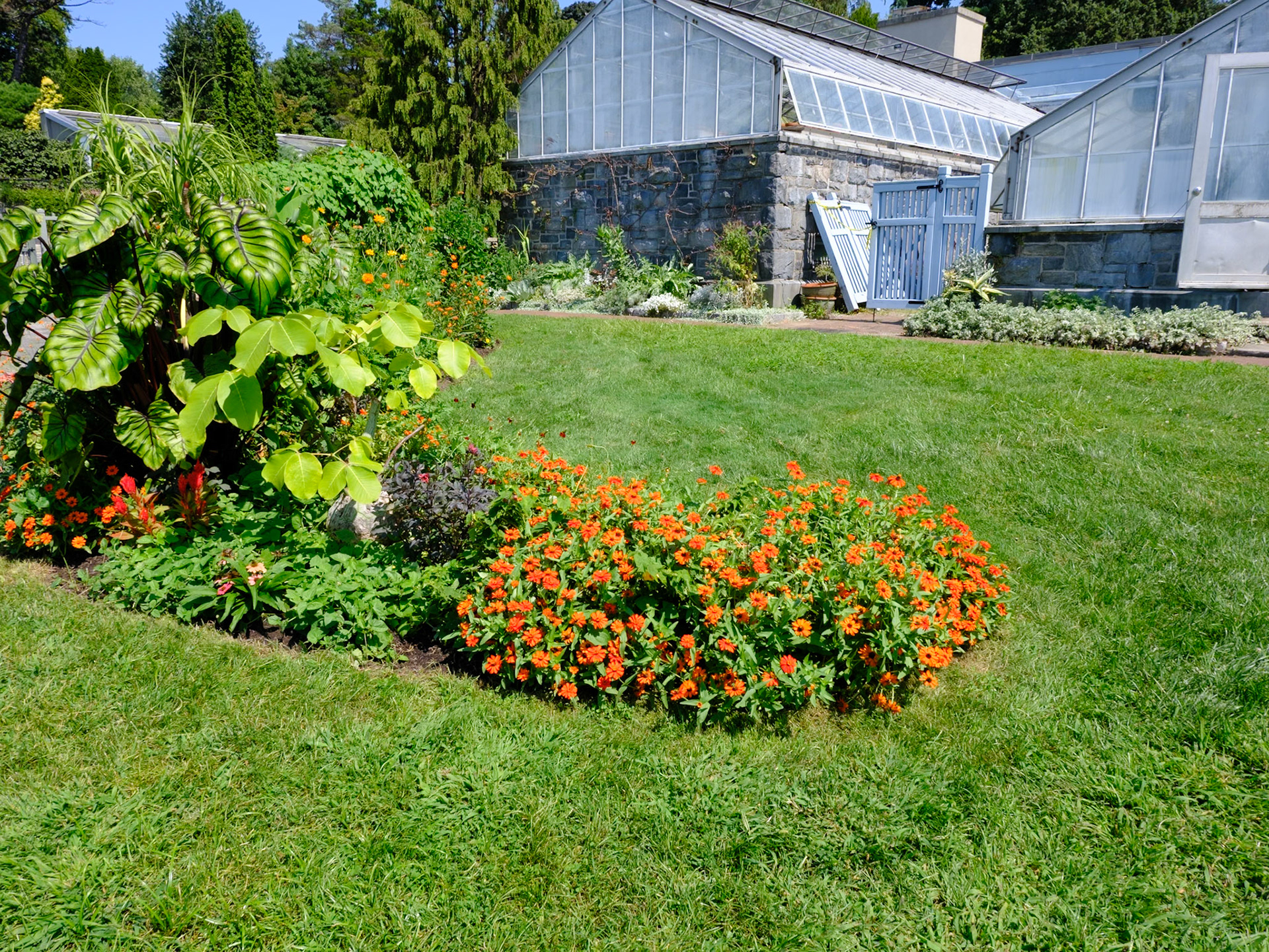Small Pack of Plants at Greenhouse Lawn