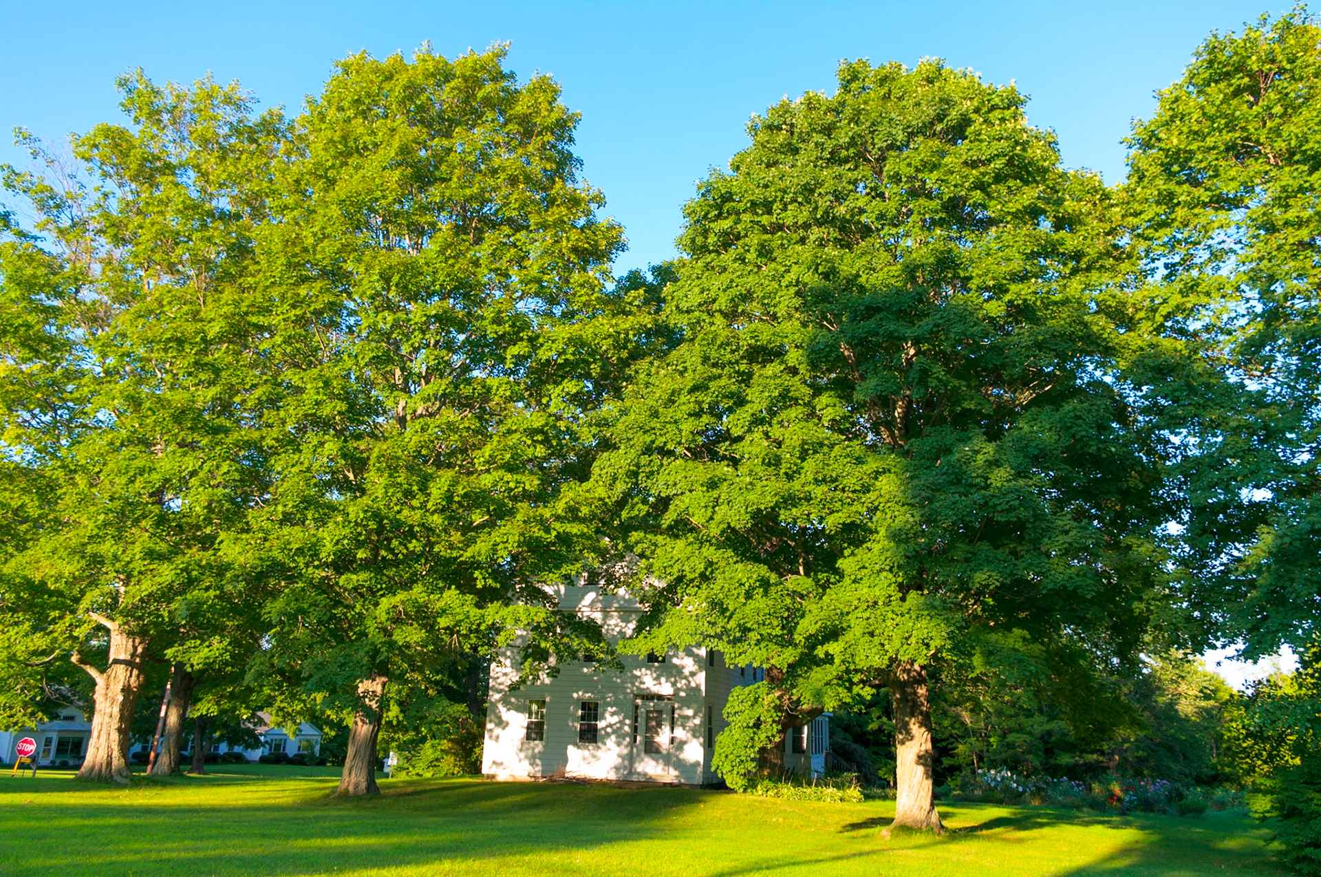 Old Parsonage Bolton