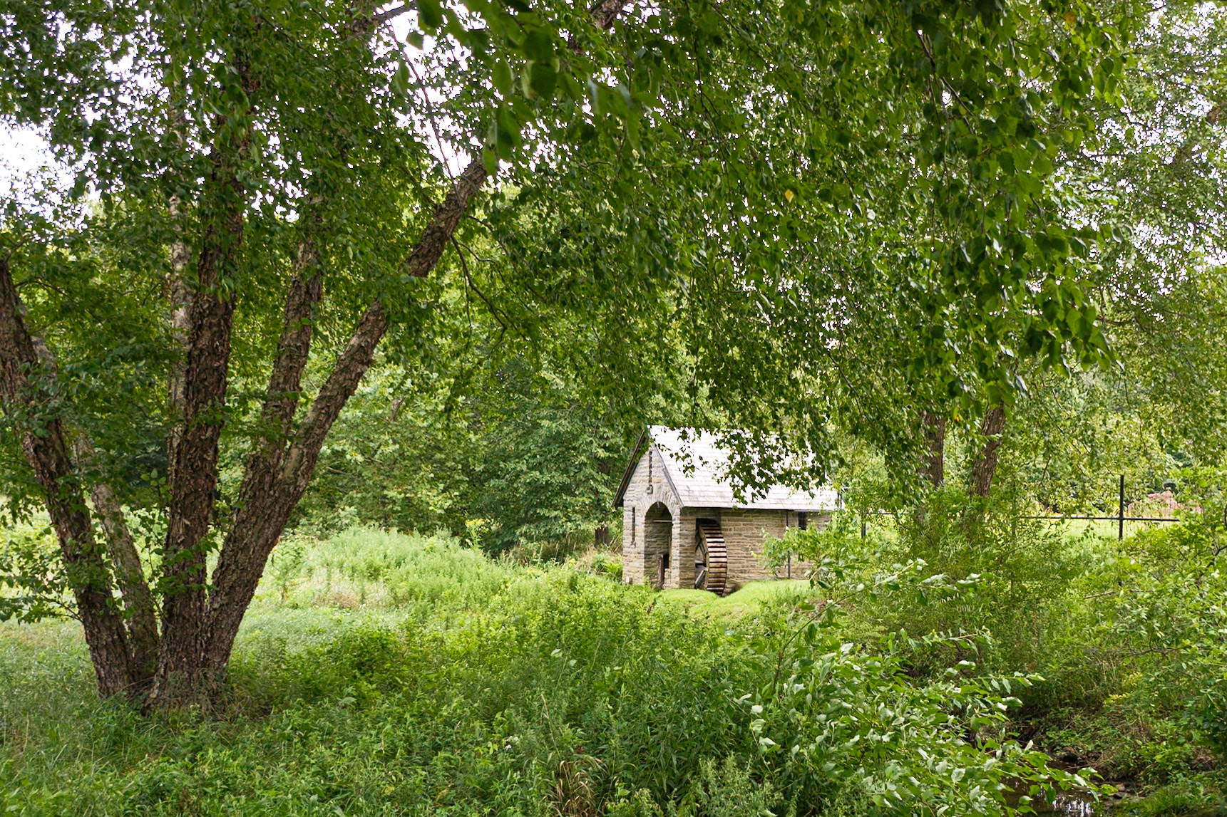 Water Mill at Morris Arboretum August 2024