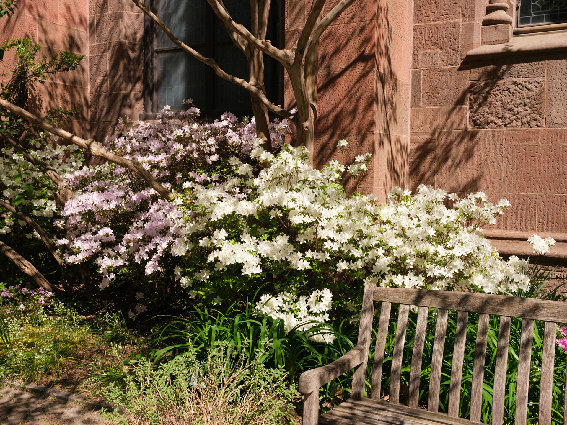 Flowers and Bench at St Clement Church