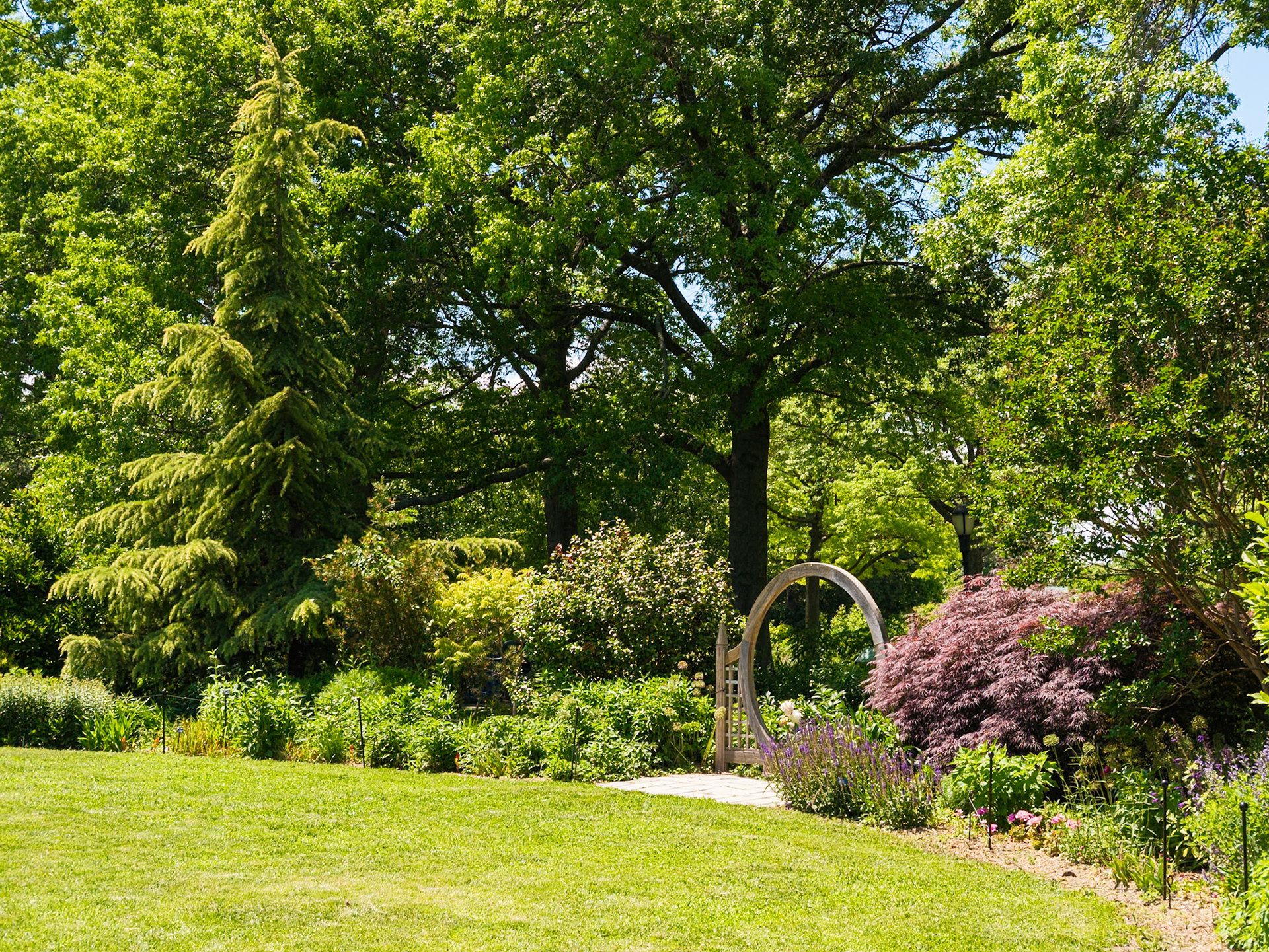 Meadow With Circular Arch at Queens Botanical