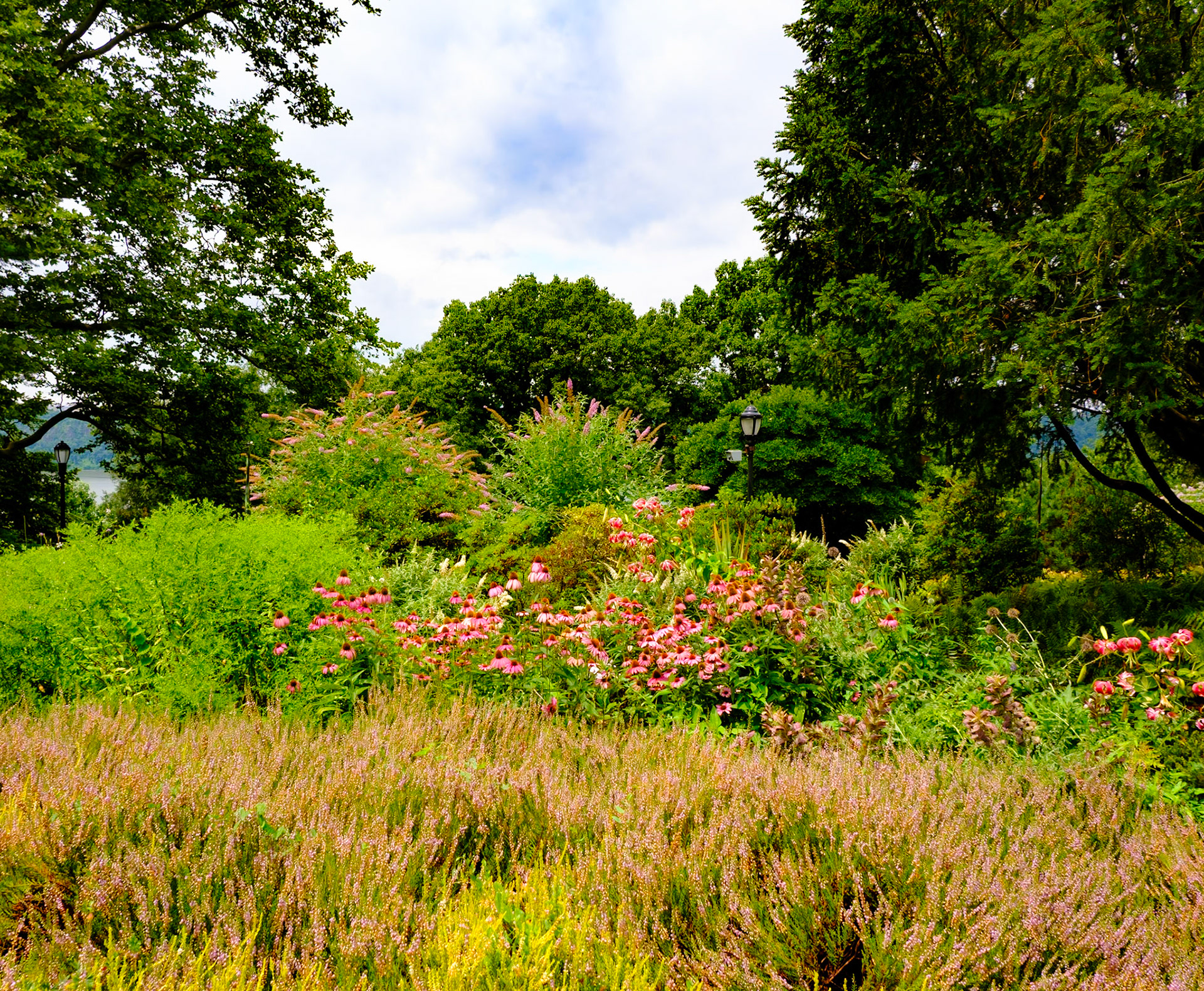 Grove at Fort Tryon Park