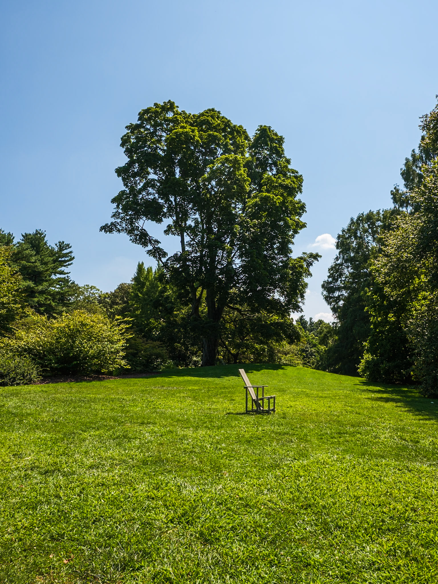 Chair and Old Tall Tree Wave Hill August 2024