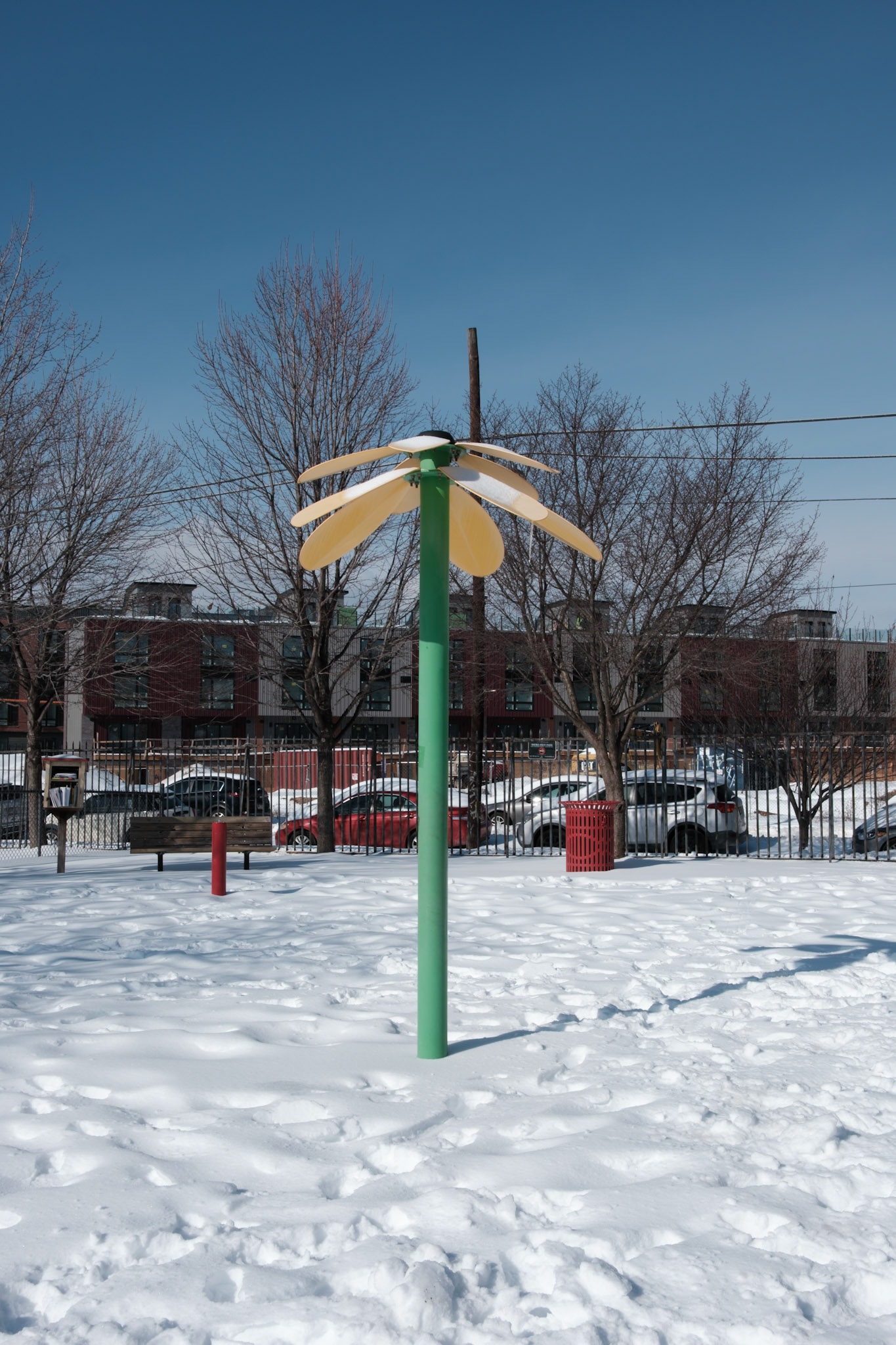Fake Palm Tree at Francis Park 26 January 2026