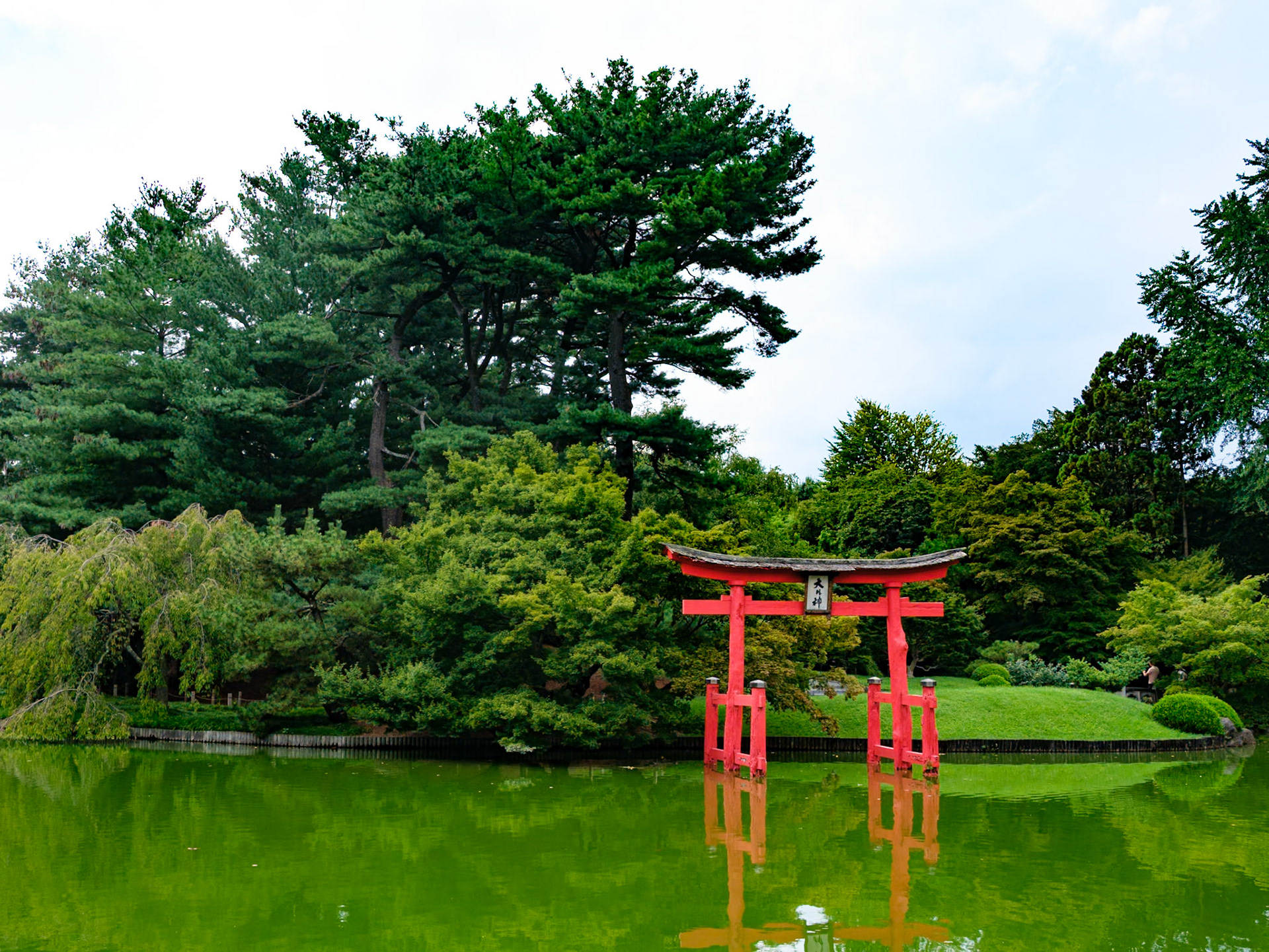 Japanese Shrine and Evergreen Tree at the Brooklyn Botanic