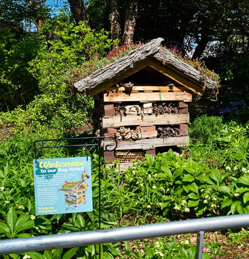 New Bug Hotel at the Philadelphia Zoo