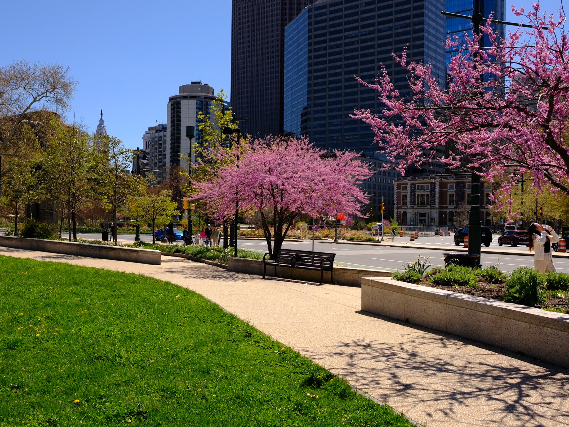 Blossoms and Bench on Parkway
