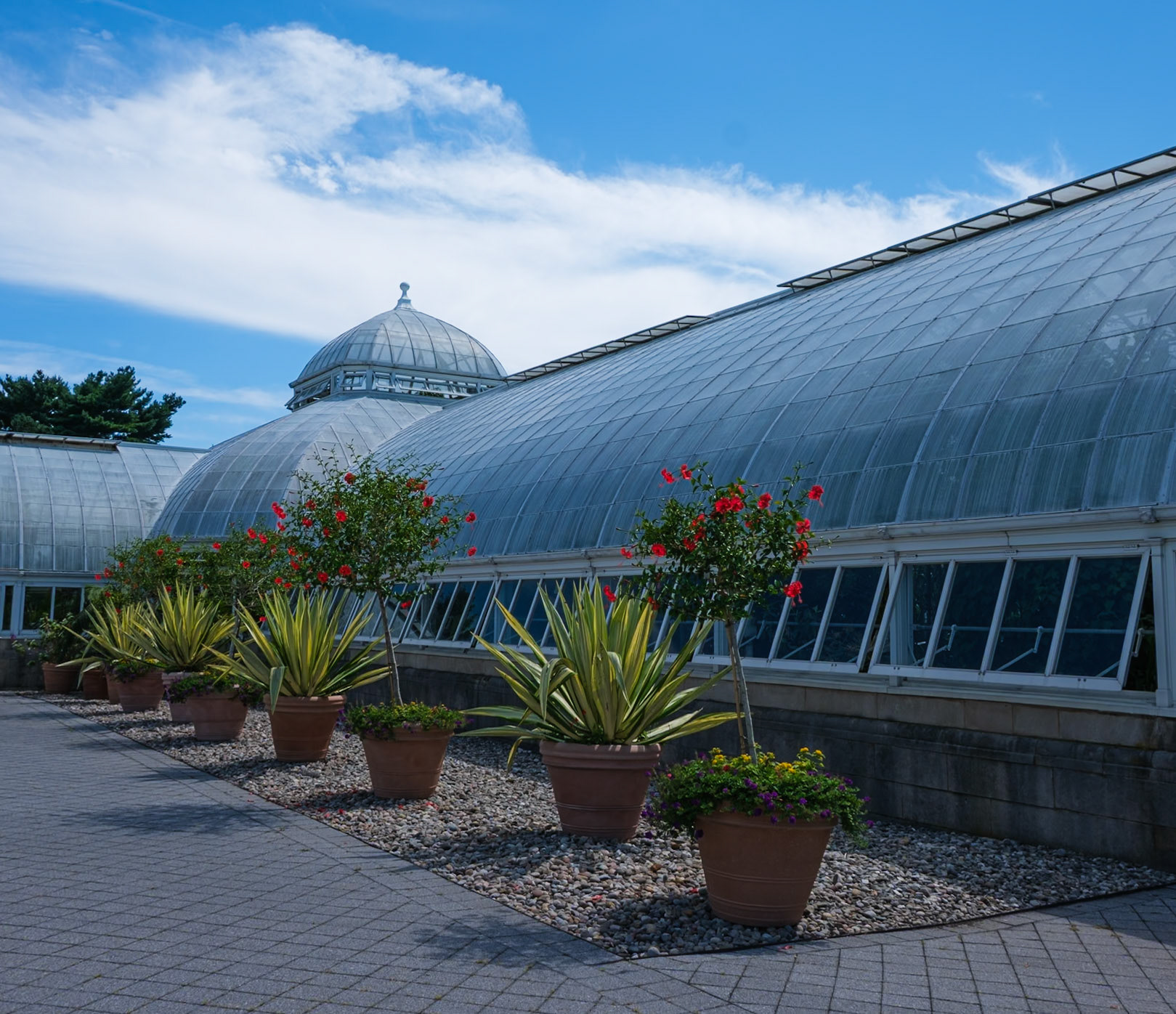 Outdoor Row of Potted Plants along Conservatory Wing