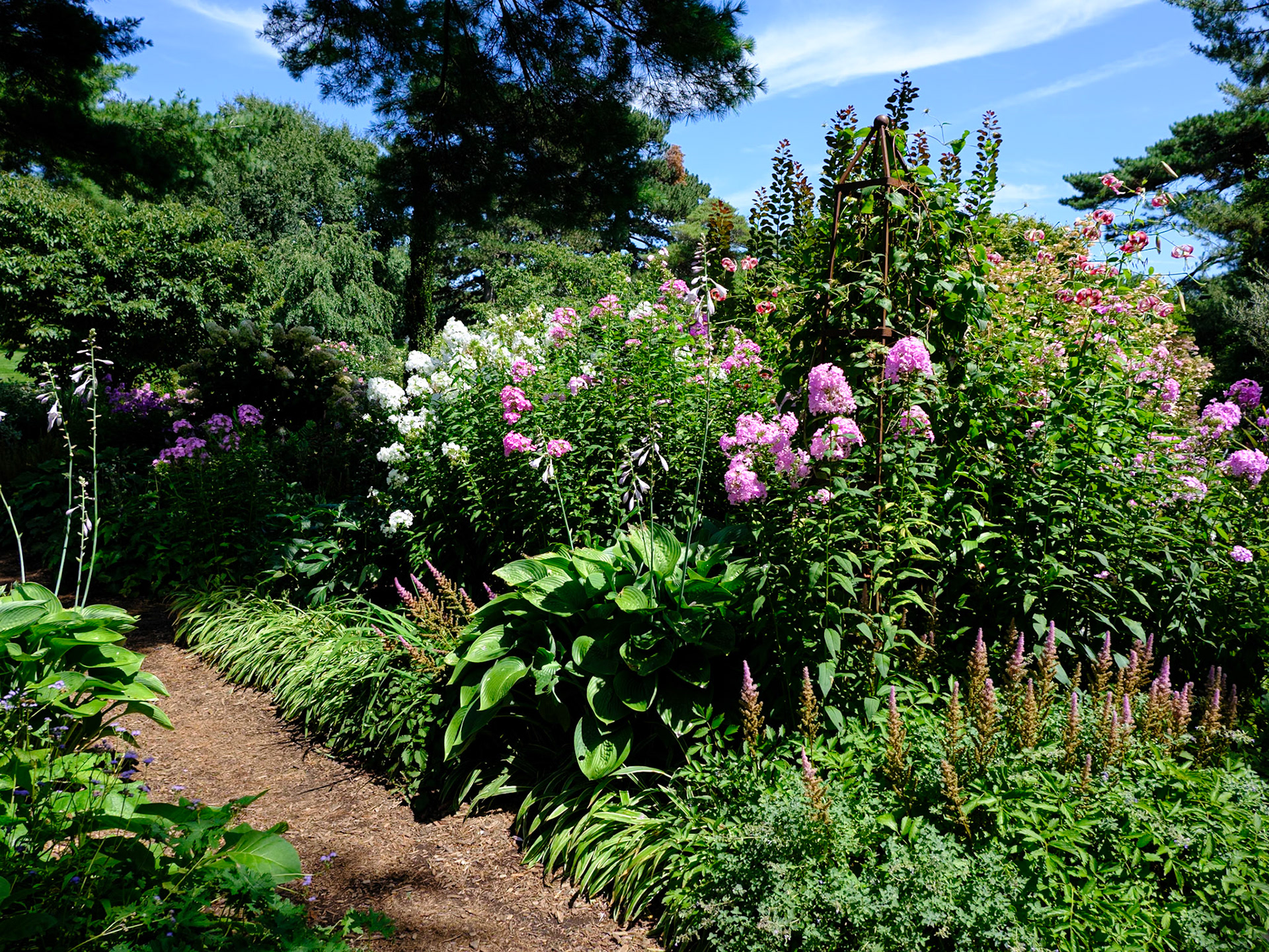 Flowering  Bushes at New York   Botanical