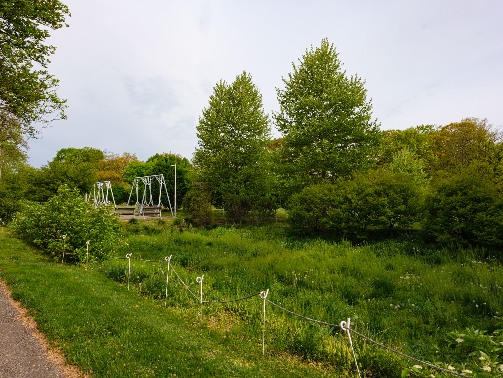 Swings at Fairmount Park Near Parkside Avenue