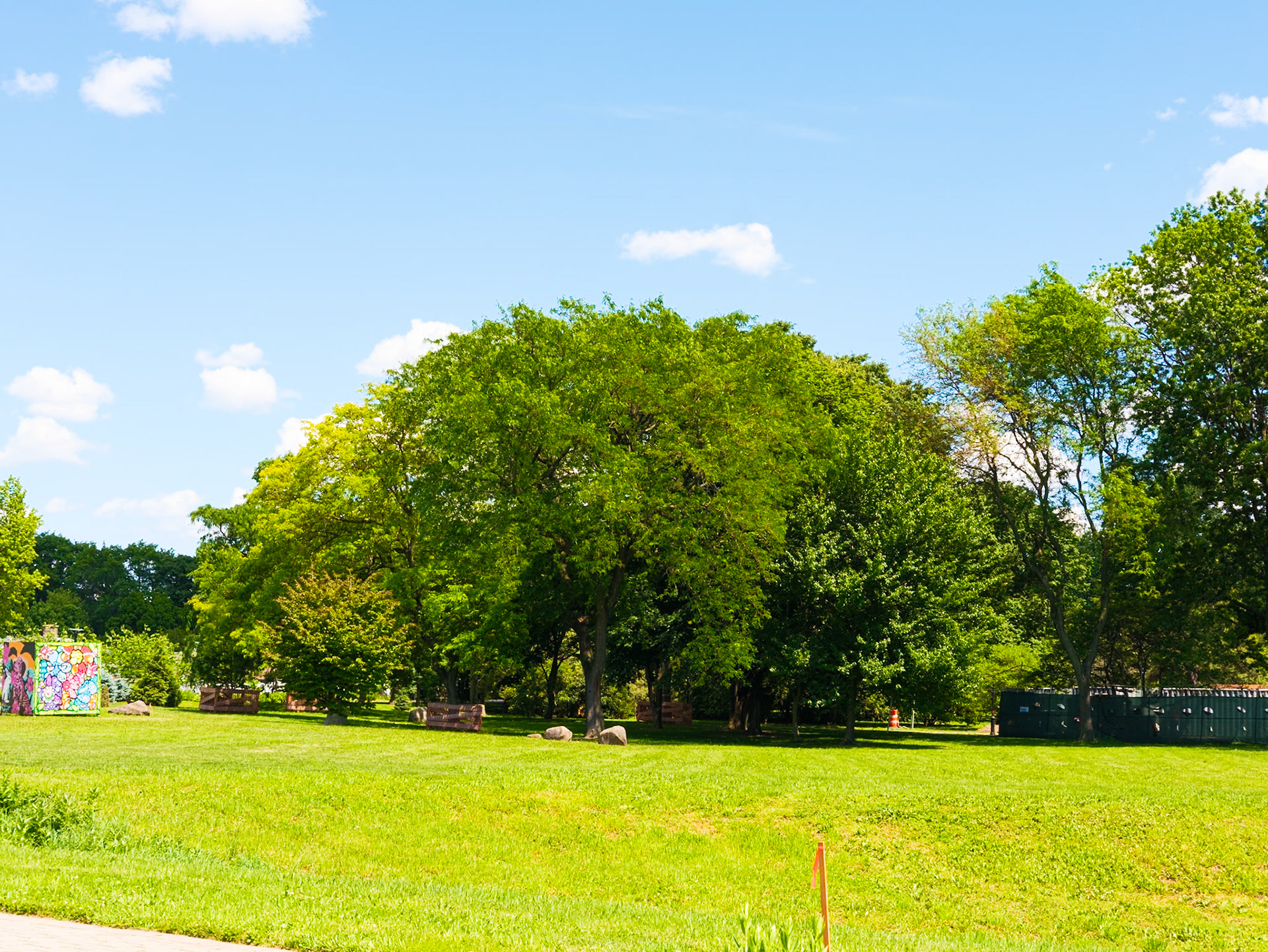 Large Meadow Tree at Queens Botanical