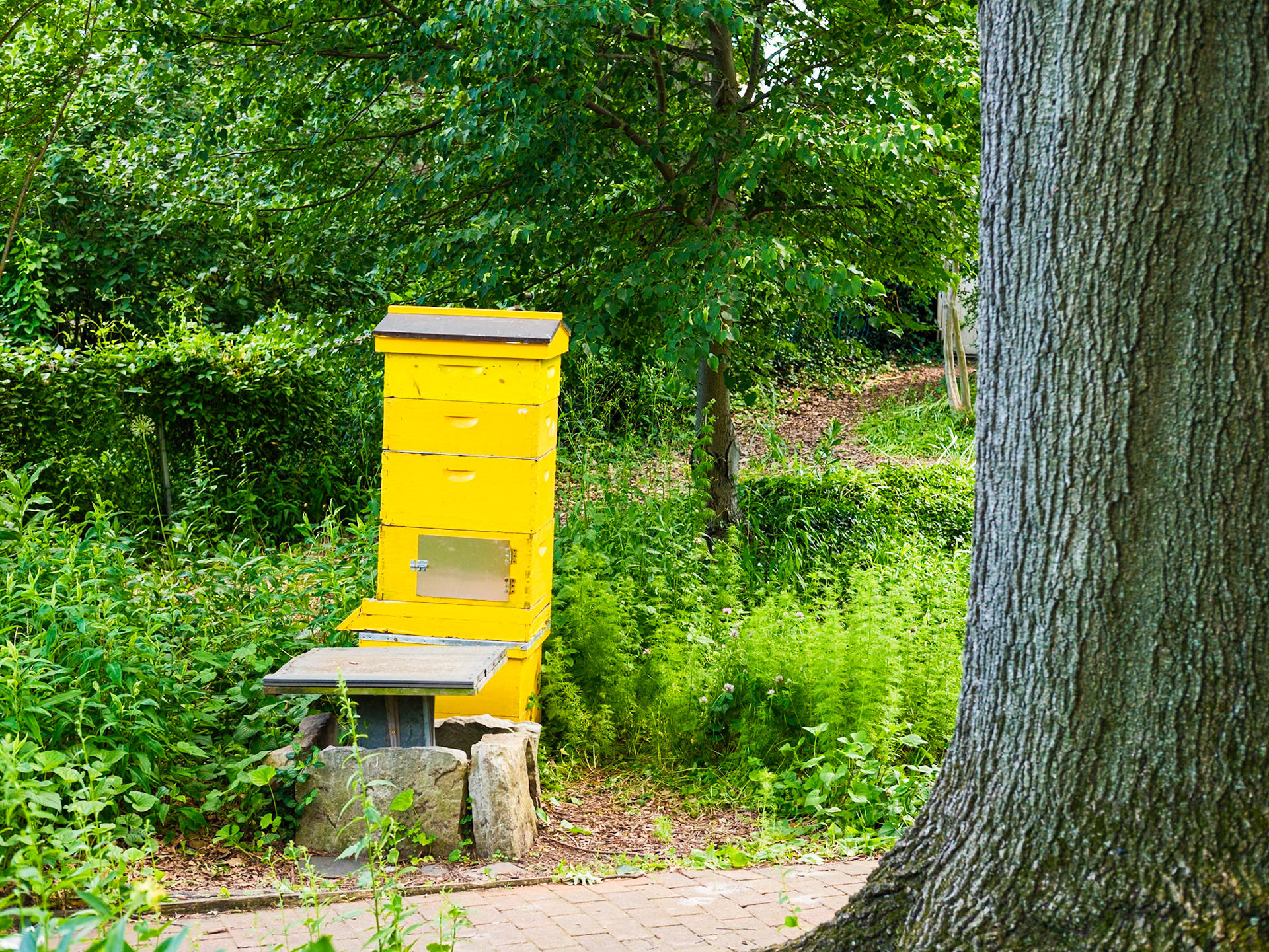 Beehive and Table at Queens Botanical Garden