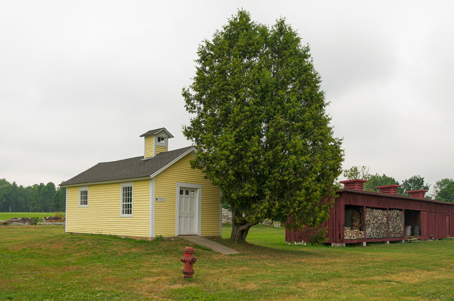 Little Yellow Shed and Wood Shed at Canter