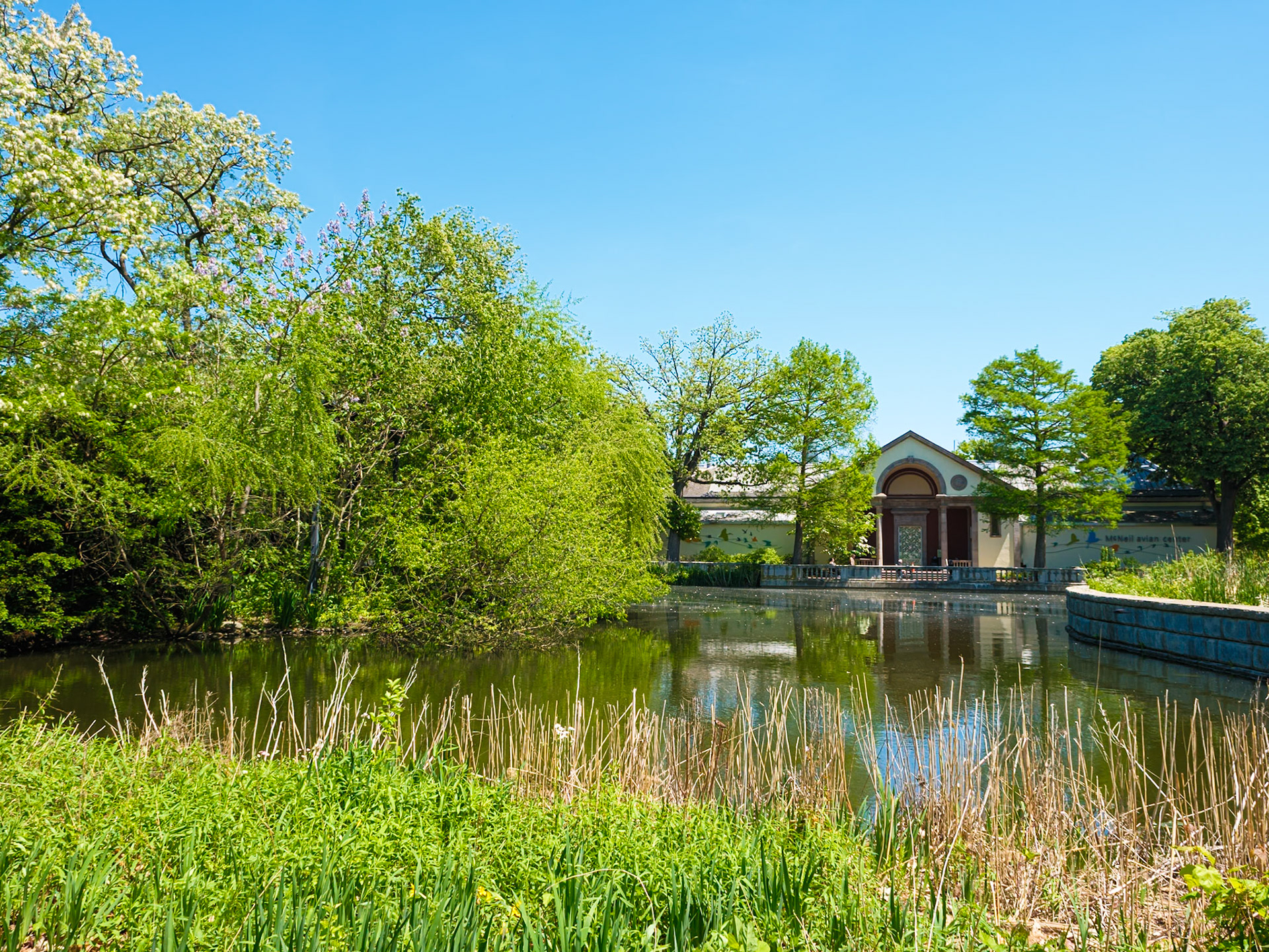 Zoo Pond and Bird House