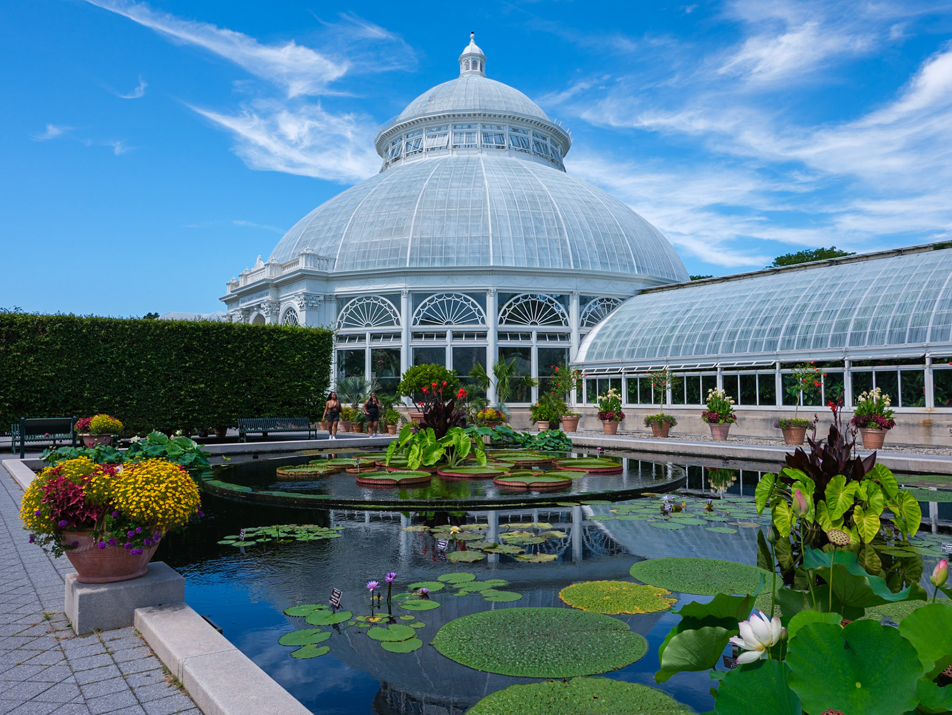 Exterior of Central Court of Conservatory with Royal lillies