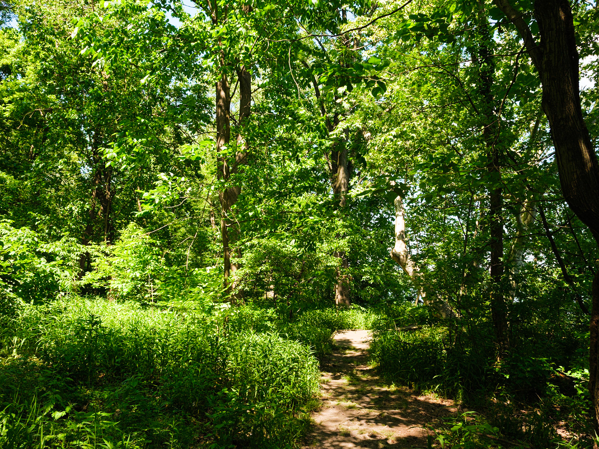 Trail Near Riverfront at Bartram's