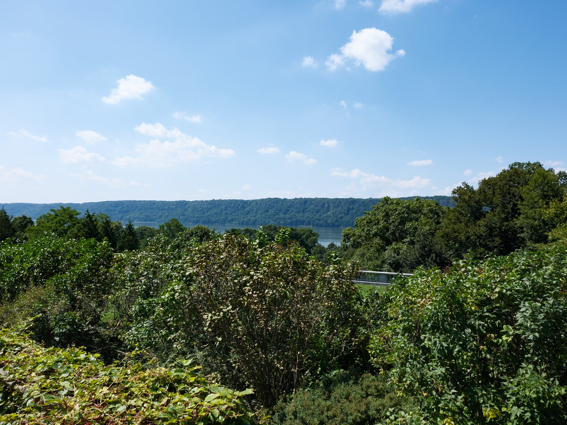 View of Hudson Valley from Wave Hill August 2024