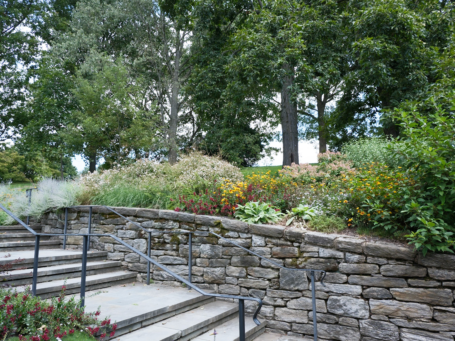 Garden Near Wall and Stairs Morris Arboretum August 2024