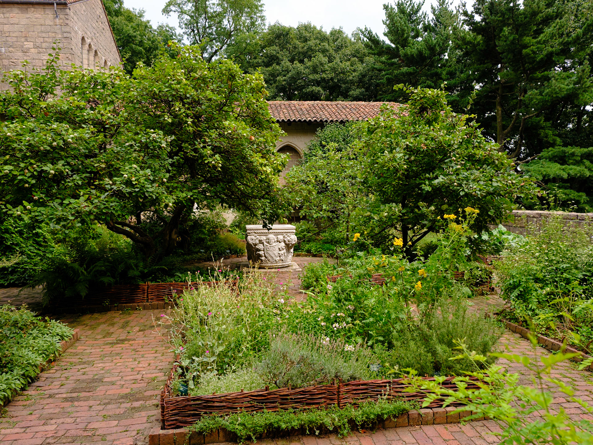 Large Pot at Cloisters' overlook terrace July 2024
