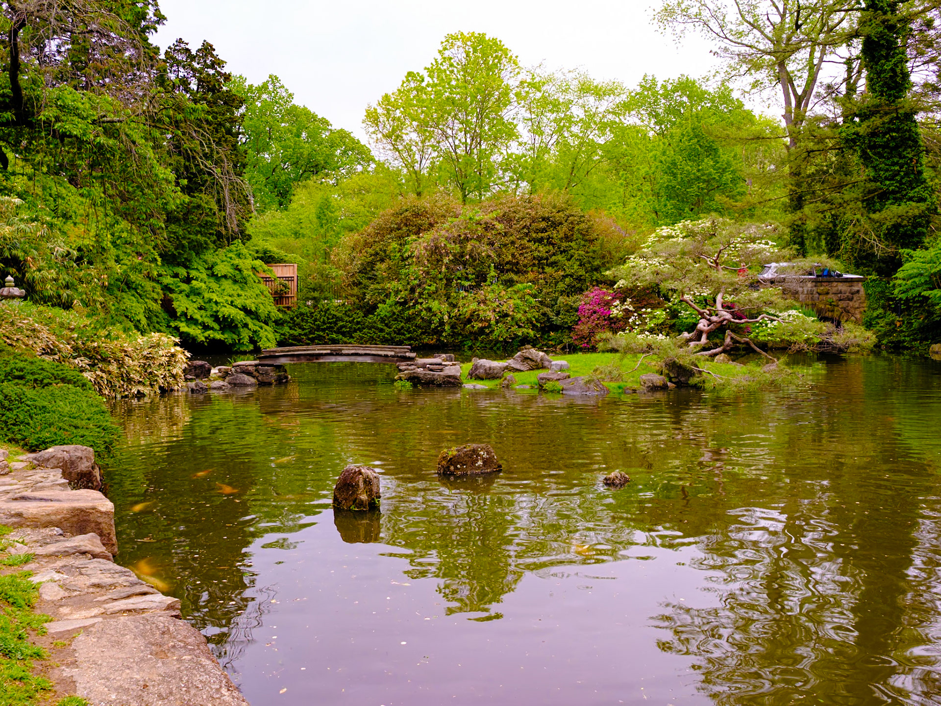 Bridge and Stones at Japanese House