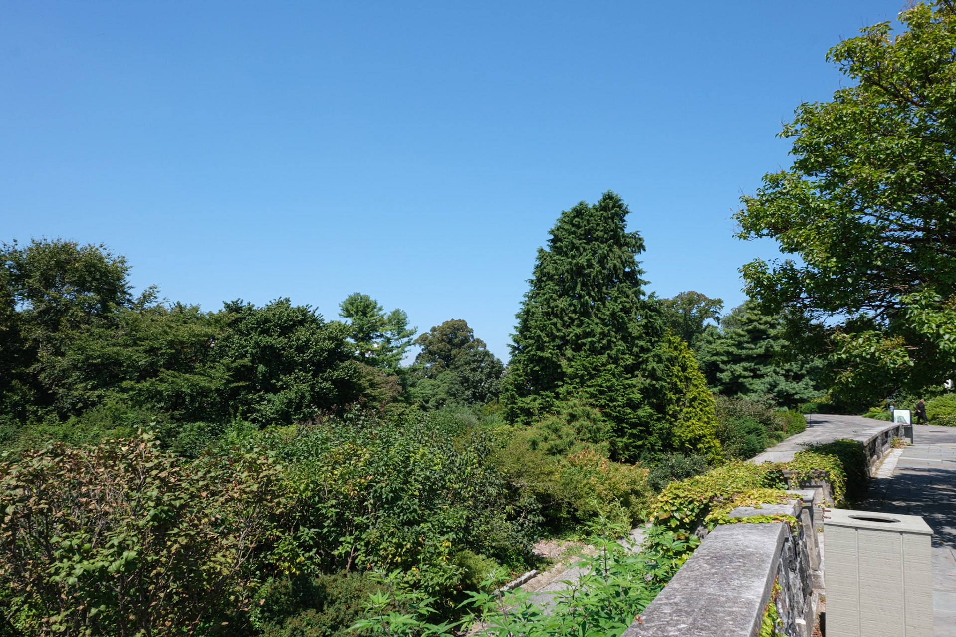 Start of Walkway Along Overlook at Wave Hill August 2024