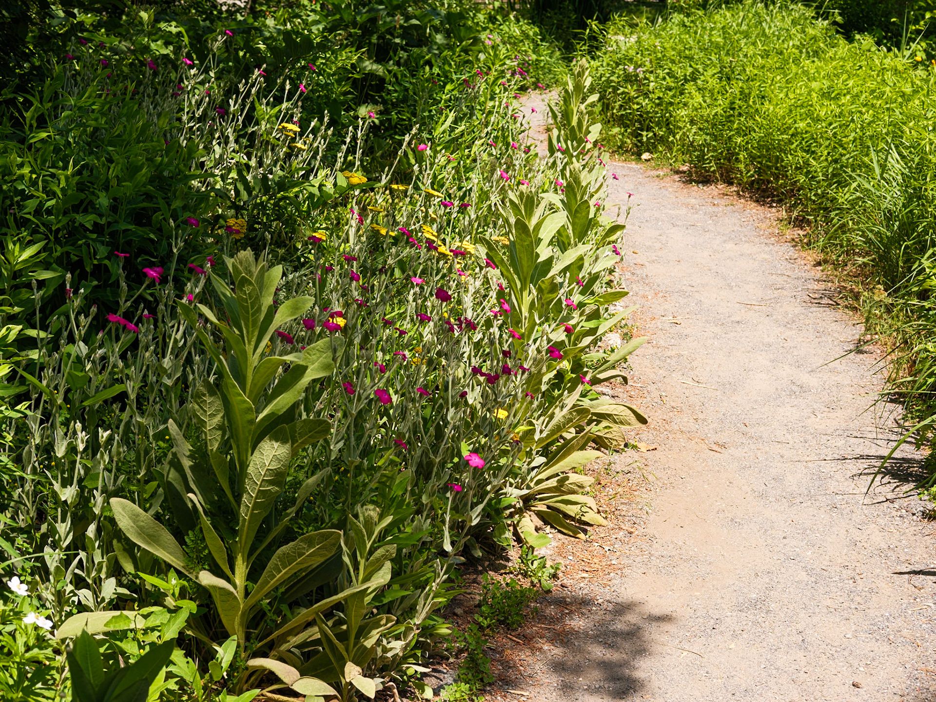 Start of Trail at Queens Botanical Garden