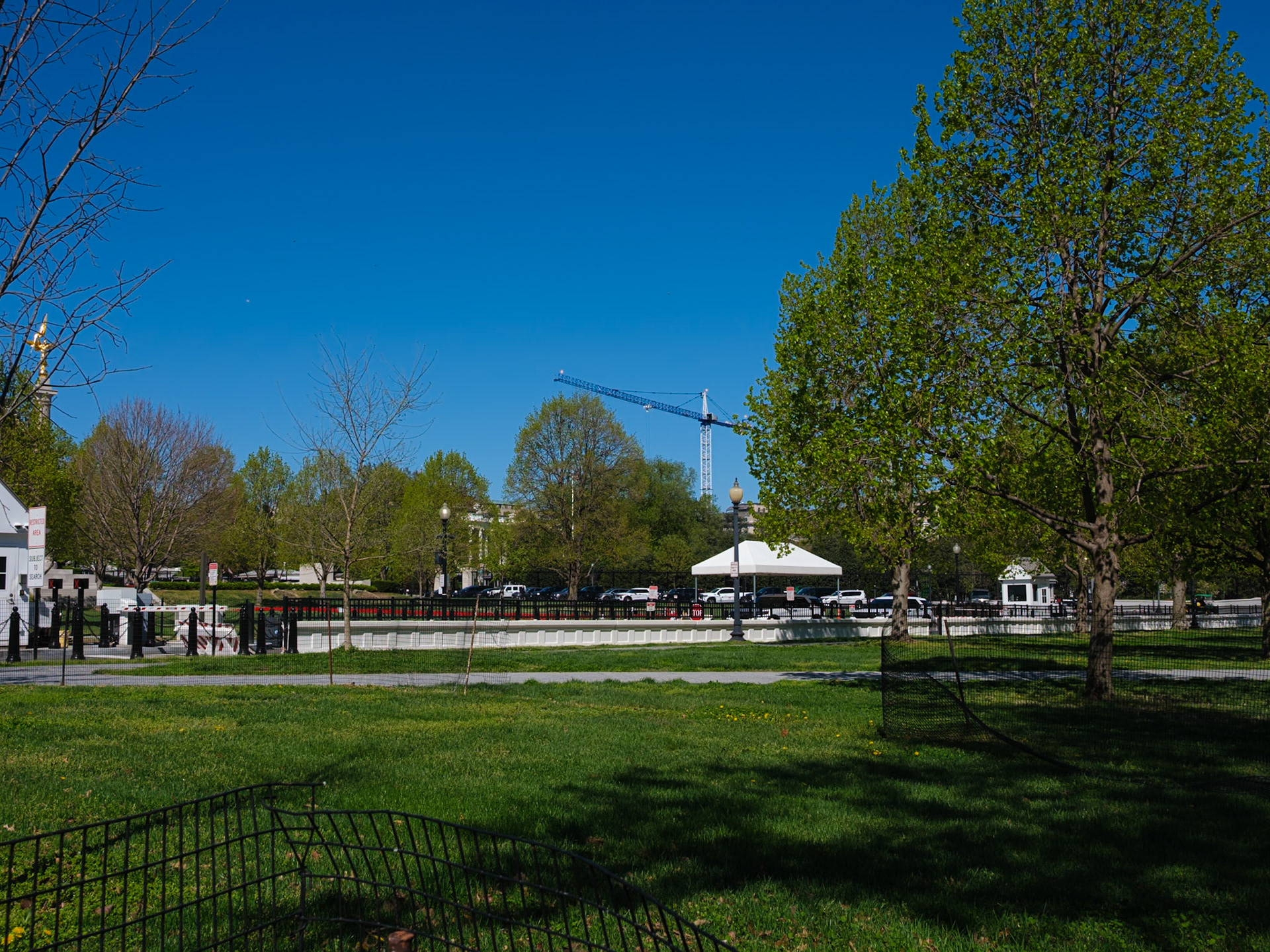 White House Behind Trees From 17th Street