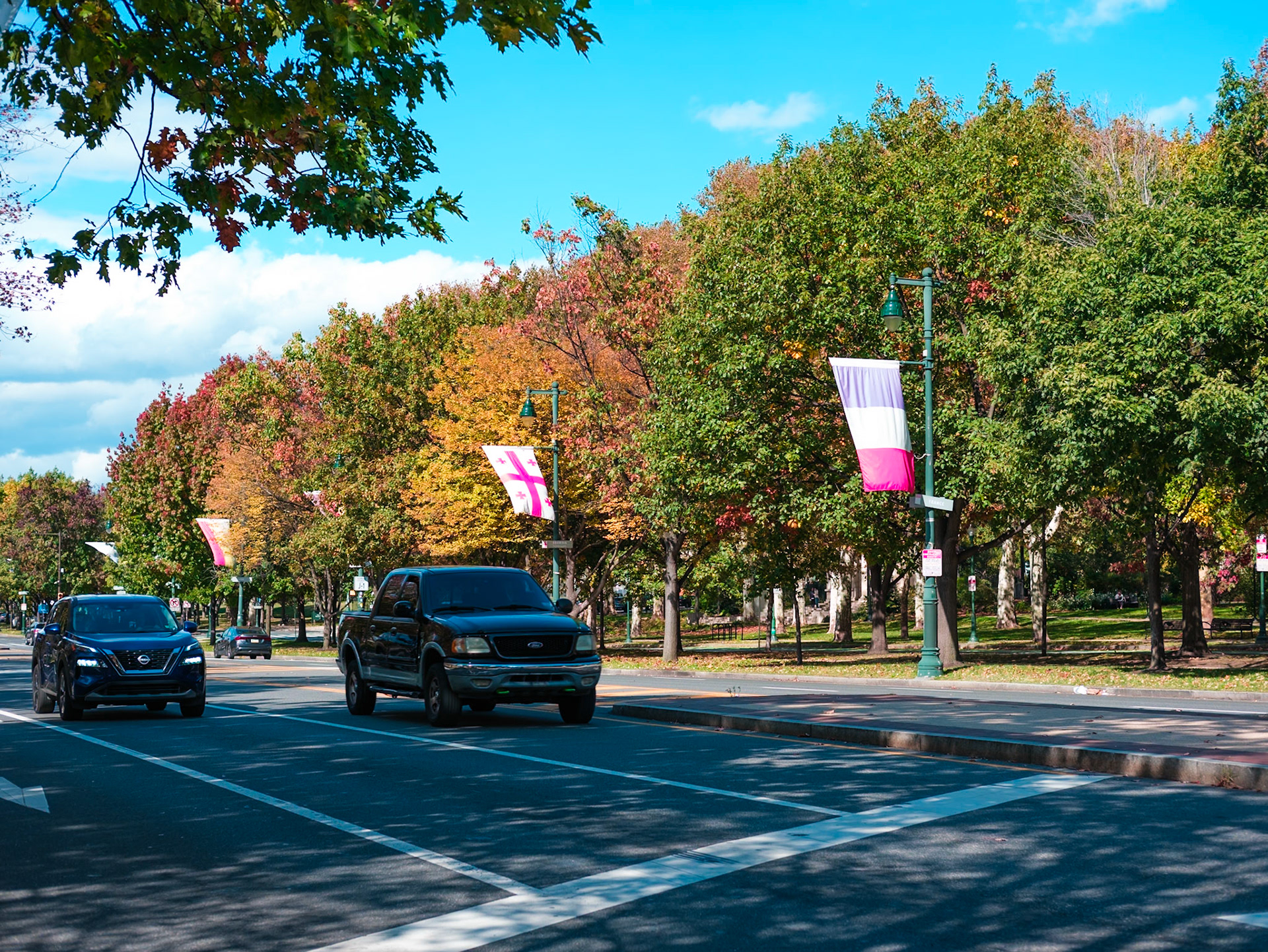 Yellow Tree on Franklin Parkway