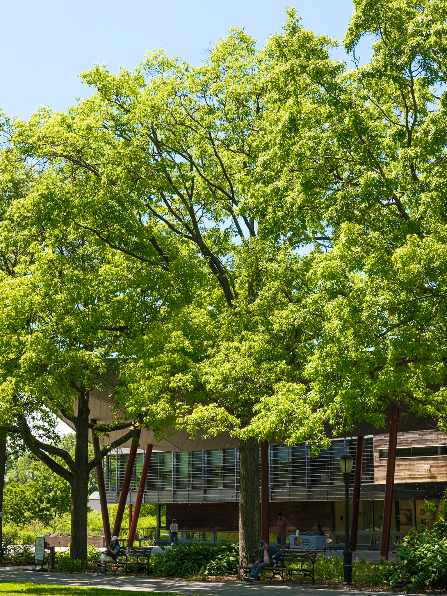 Reception Building at Queens Botanical