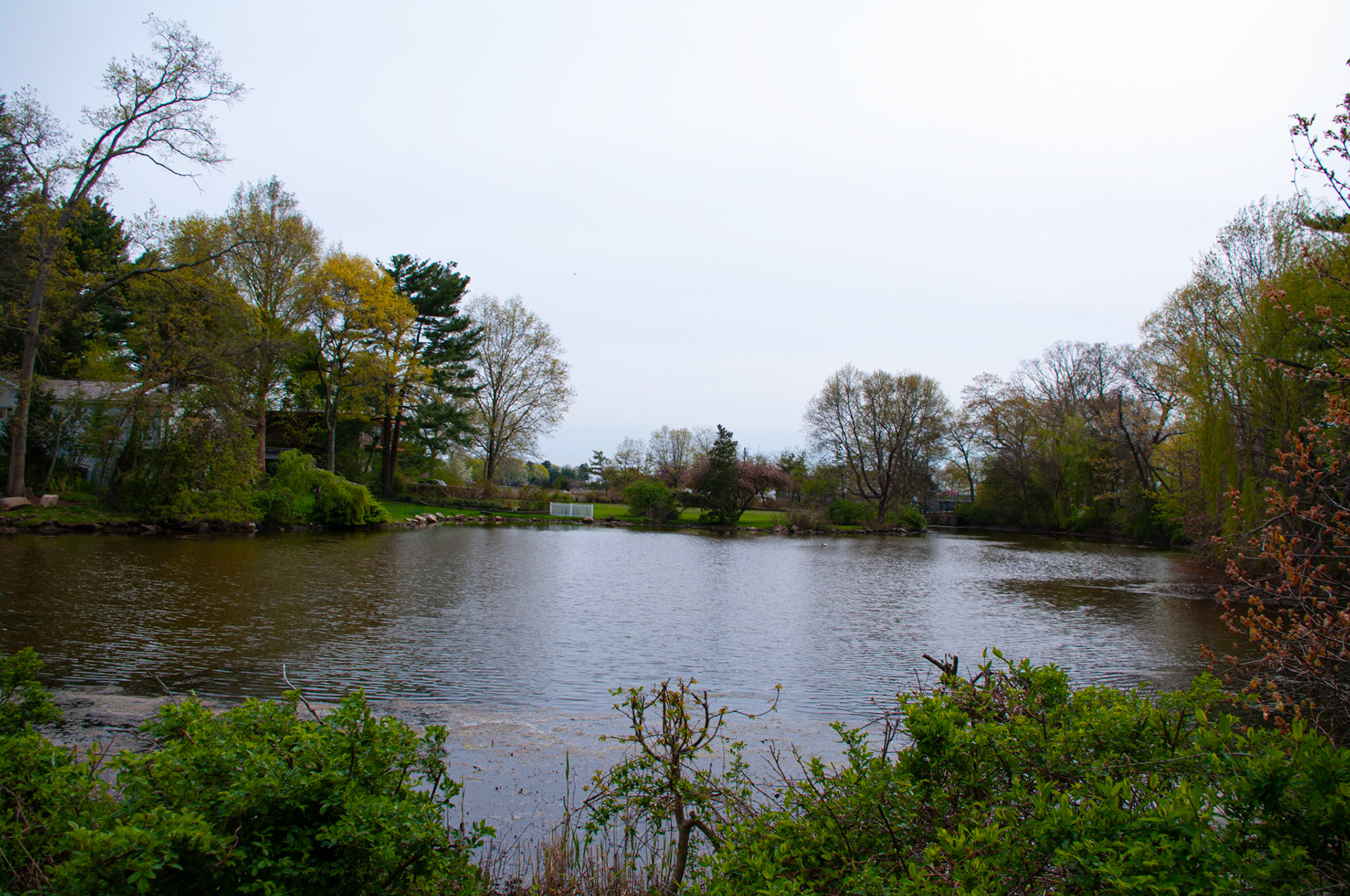 Inlet in Riverside Section of Greenwich