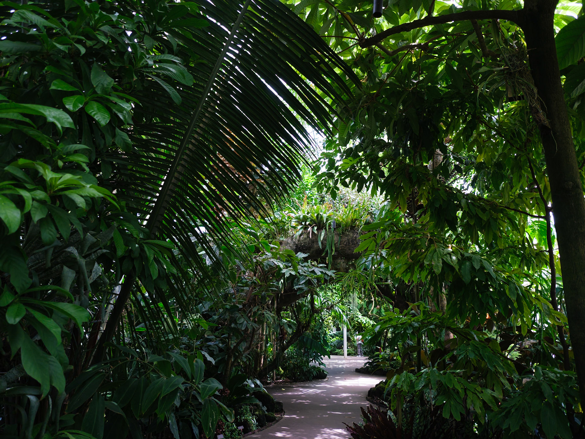 Tropical House at Conservatory