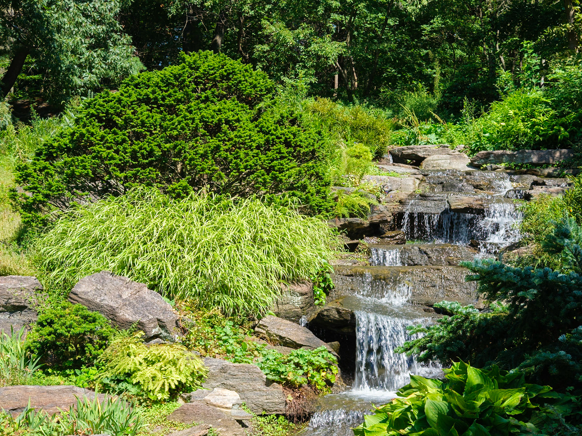 Everett Rock Garden Water Cascade at NYBG