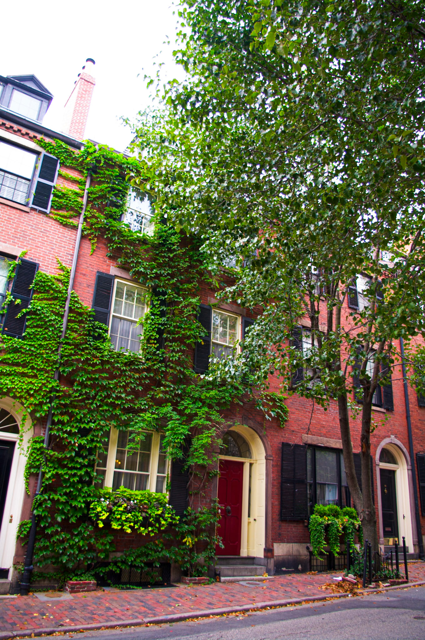 Ivy Covered Beacon Hill House Boston July 2012