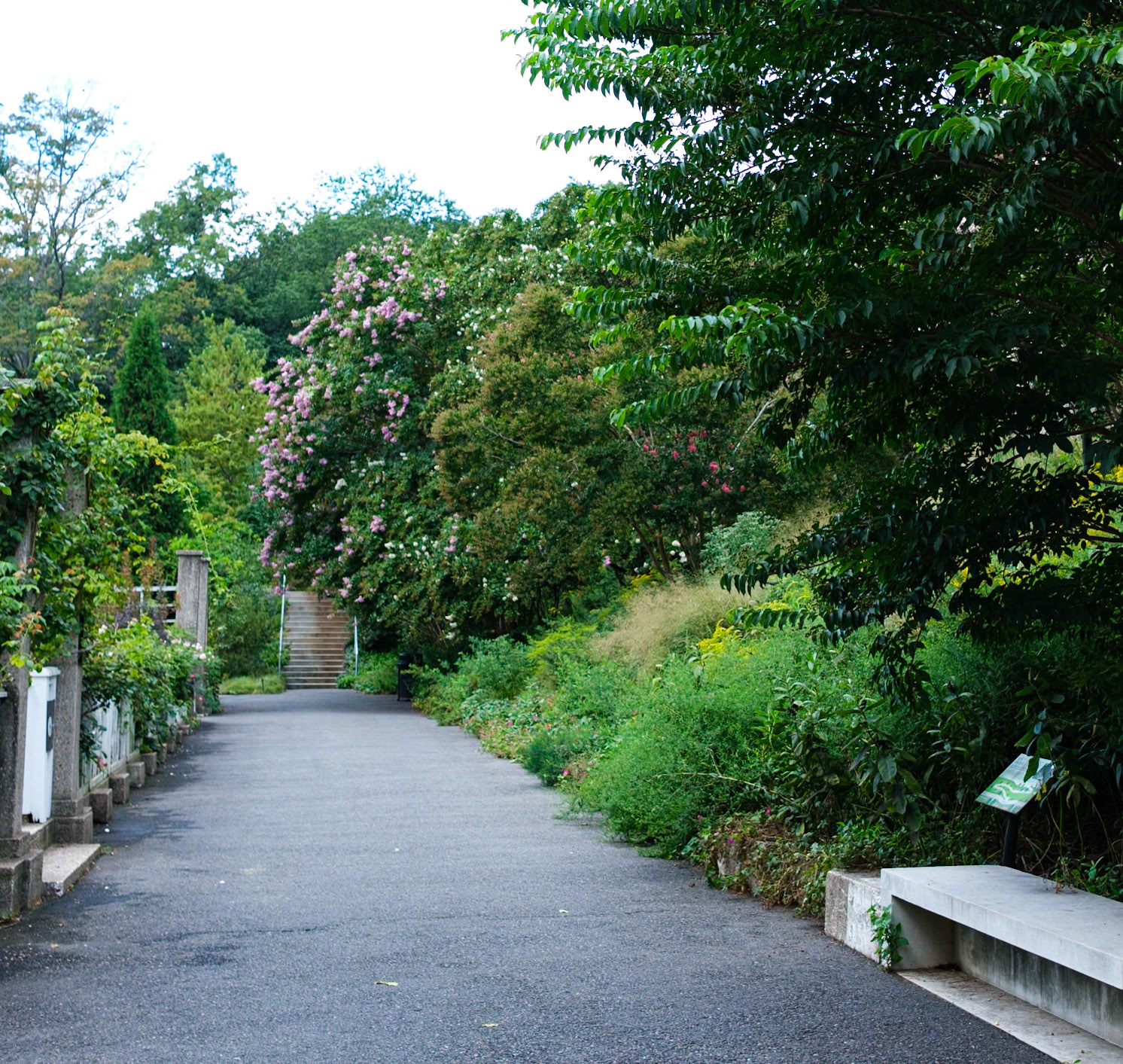 Hillside Walk and Stairway at Brooklyn Botanic