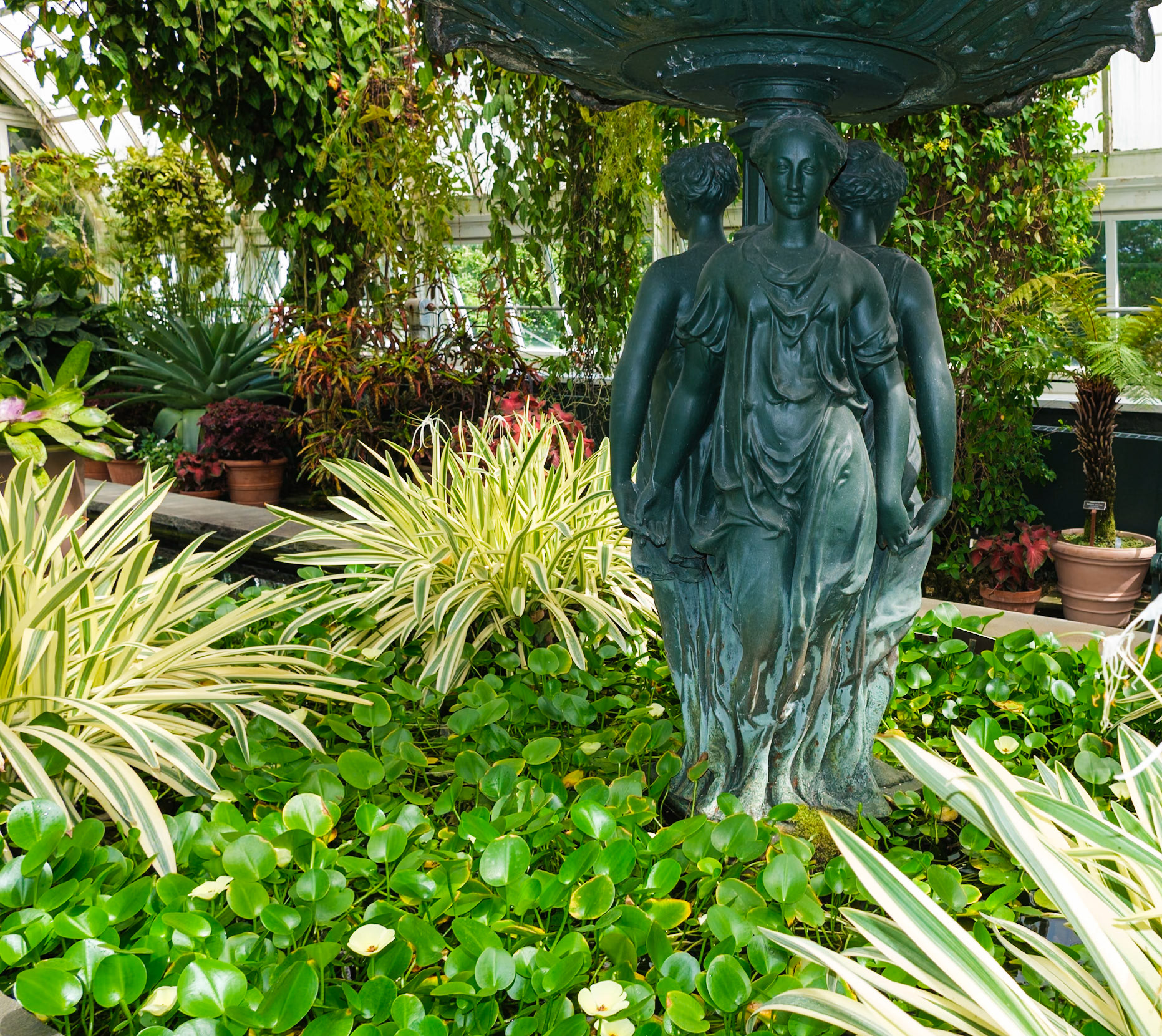 Statuary Figures in Indorr Wet Garden in Conservatory