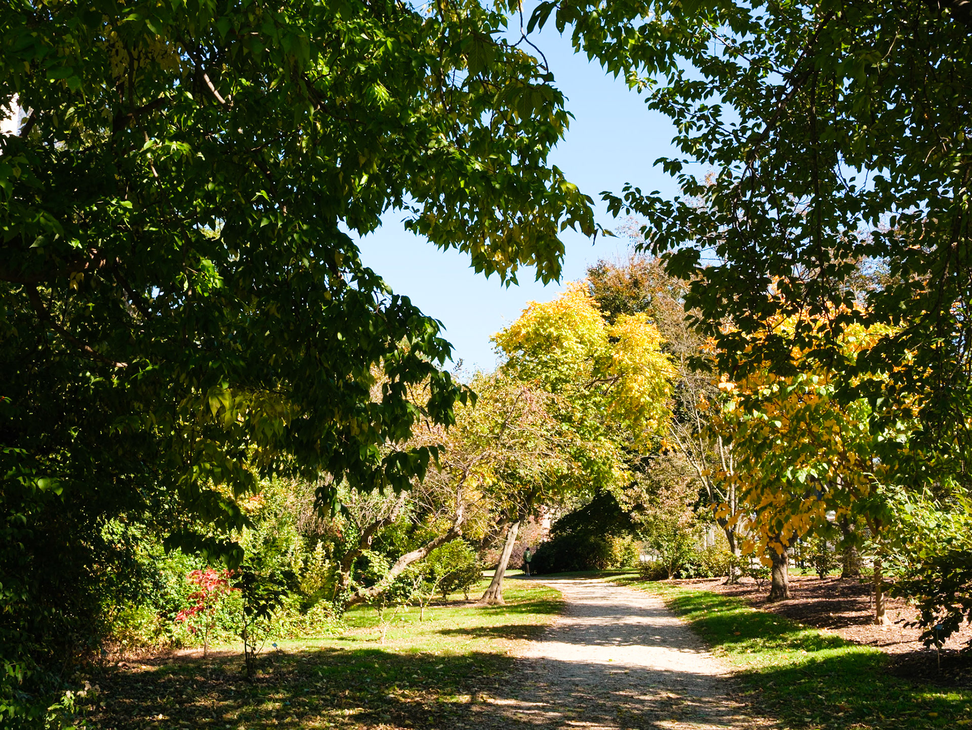 Shady Spot on West Side Trail