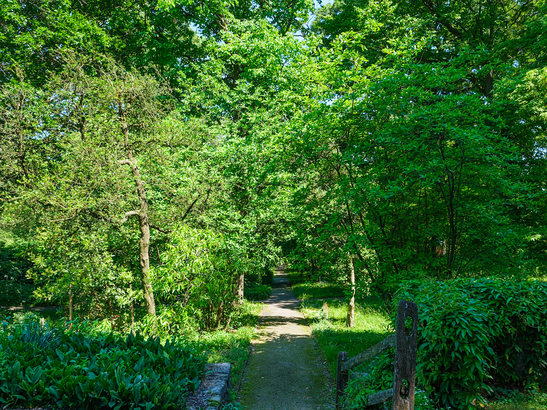 Trail to Waterfront From Bartram Homestead