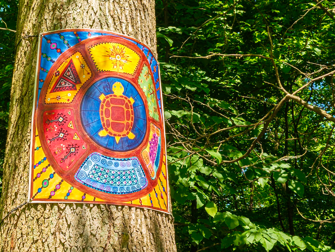 Turtle Poster at Bartram's