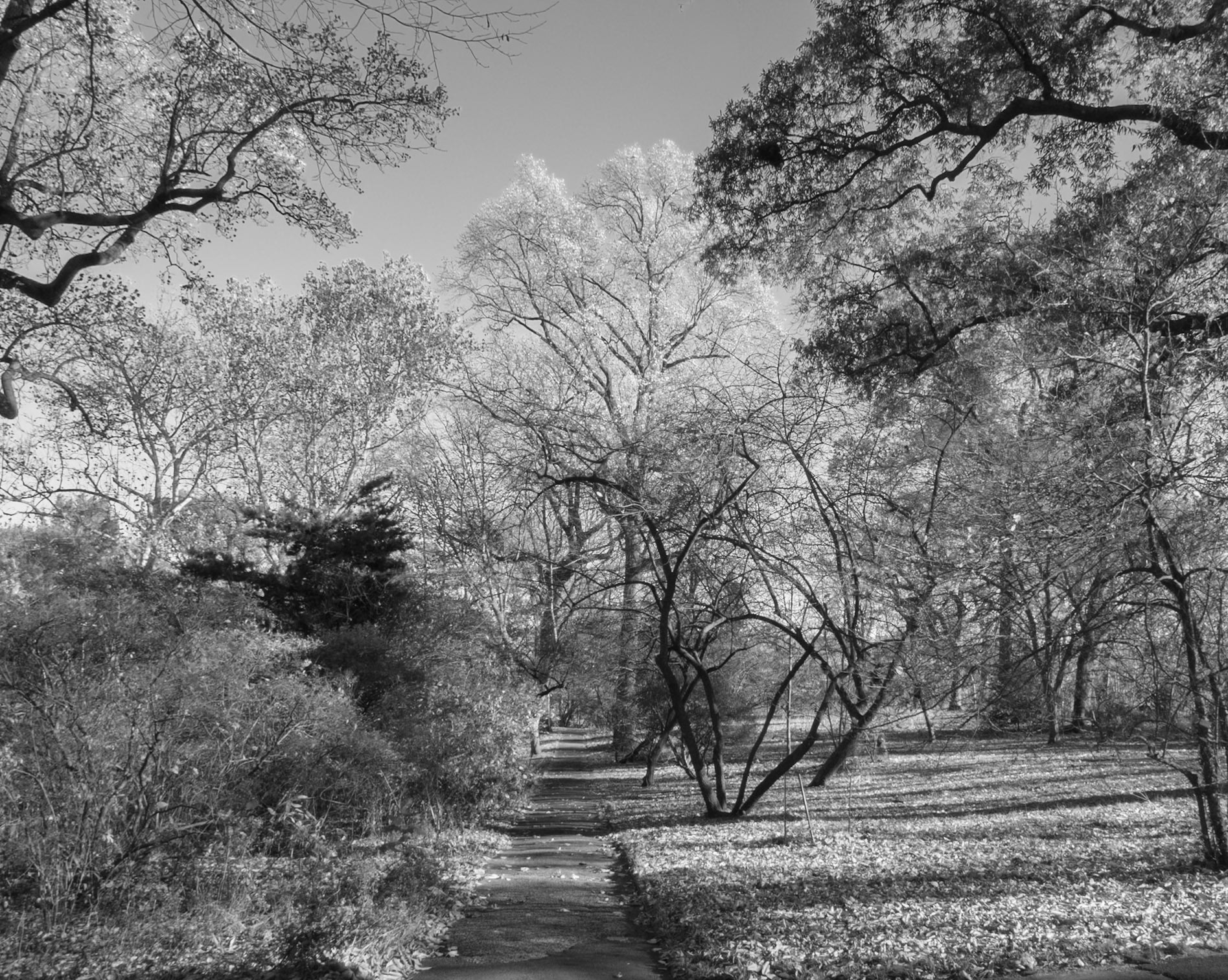 Trail to Waterfront at Bartram’s