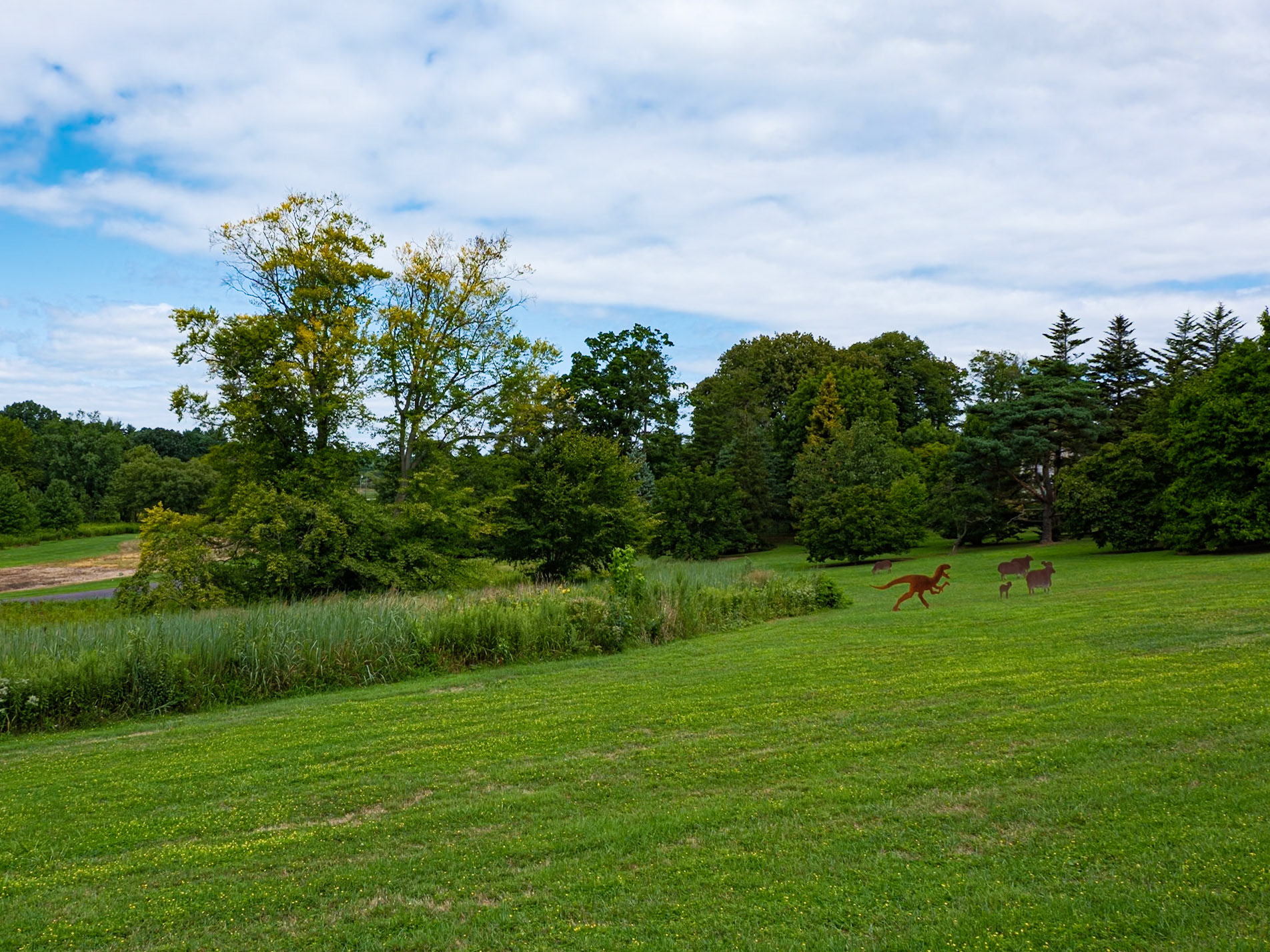 Late Summer Signs at Morris Arboretum August  2024
