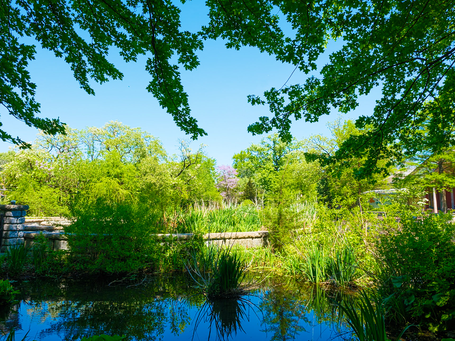 Zoo Wetlands