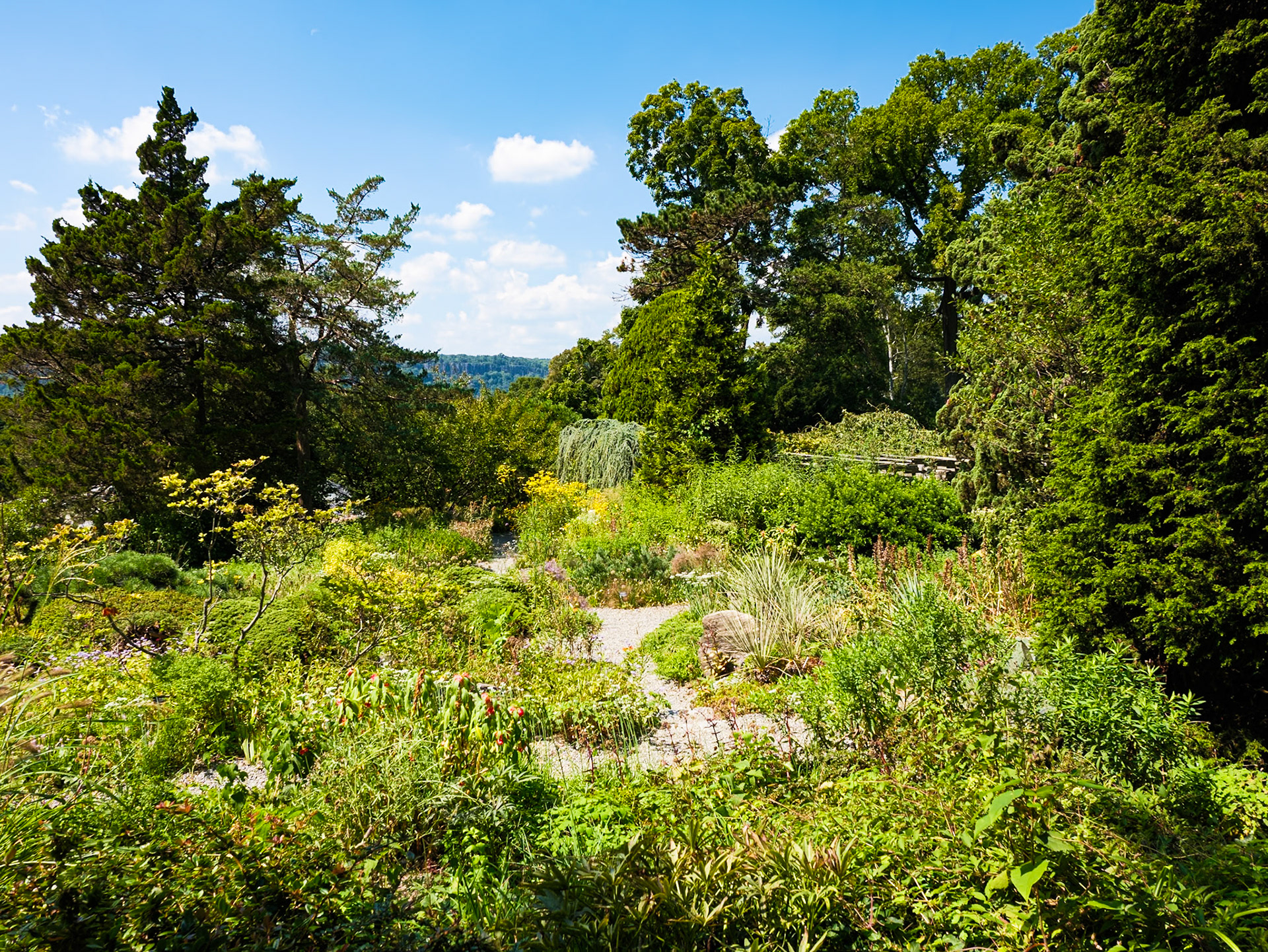 Hillside Trail Wave Hill August 2024