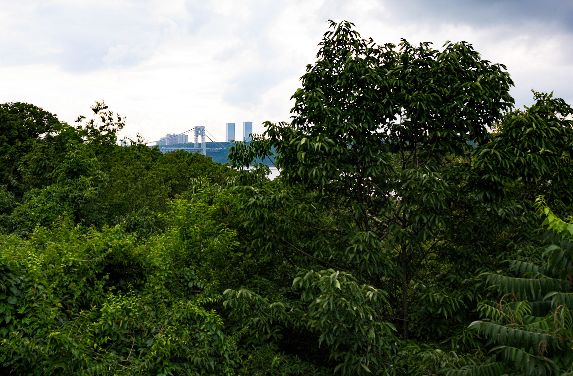 View of Hudson and George Washington Bridge from the Cloisters July 2024