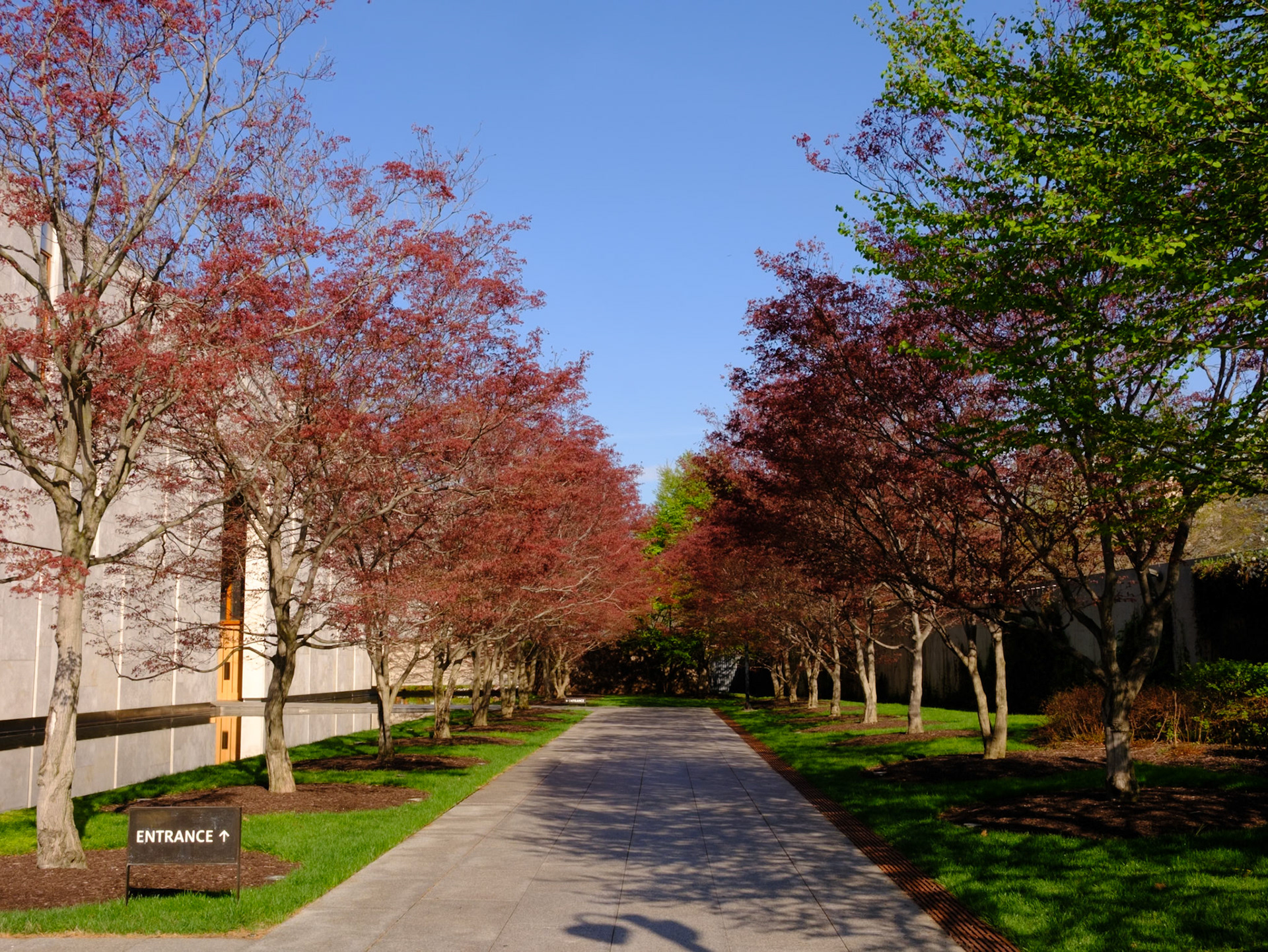 Barnes Foundation Promenade in Early April