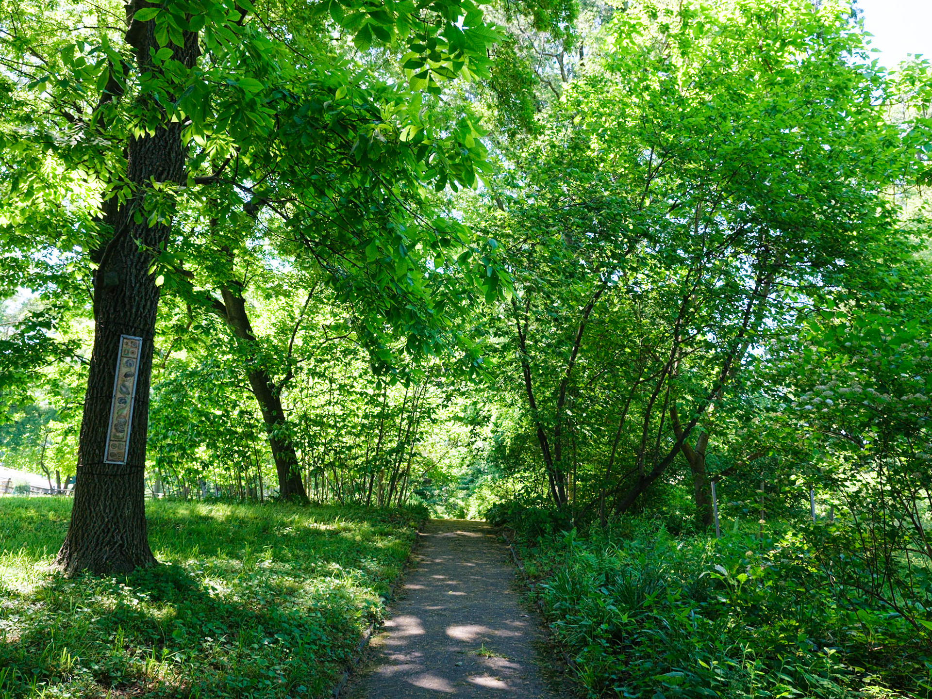 Walking Trail and Sign at Bartram's