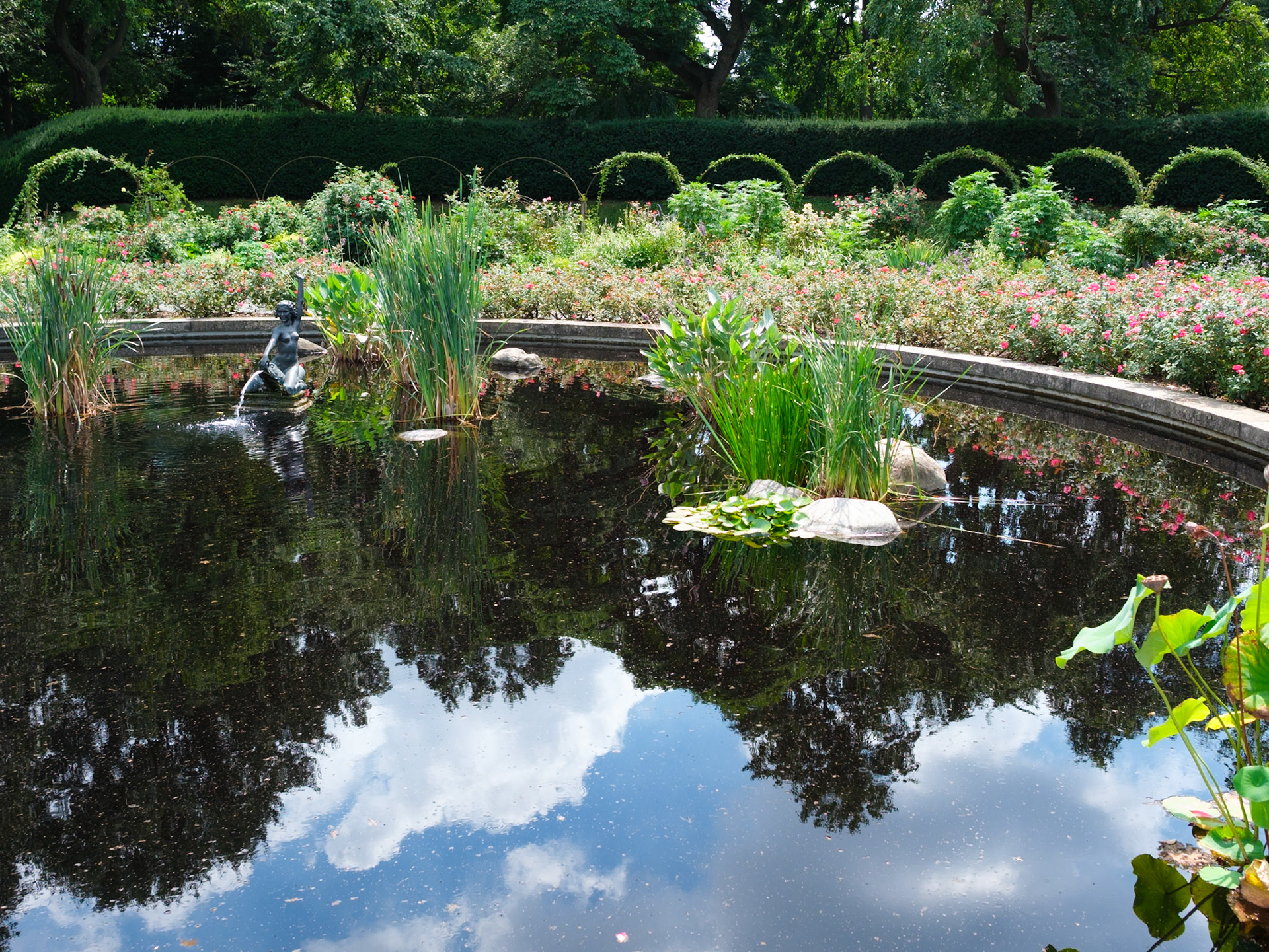 Reflecting Reflecting Pool Brooklyn Botanic