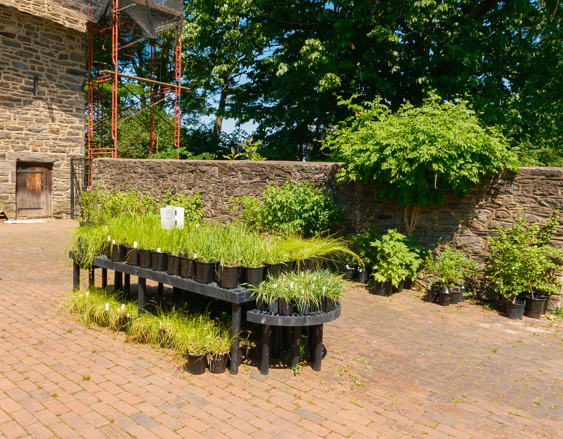 Table with  New Plants at  Bartram’s