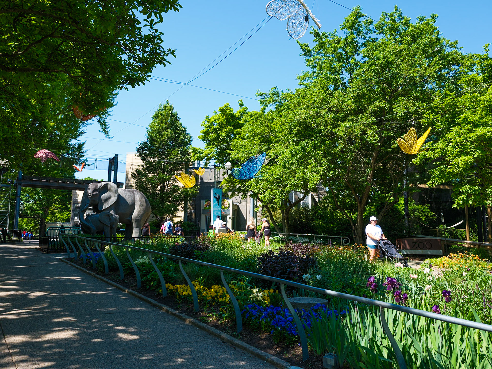 Butterfly Court at the Philadelphia Zoo