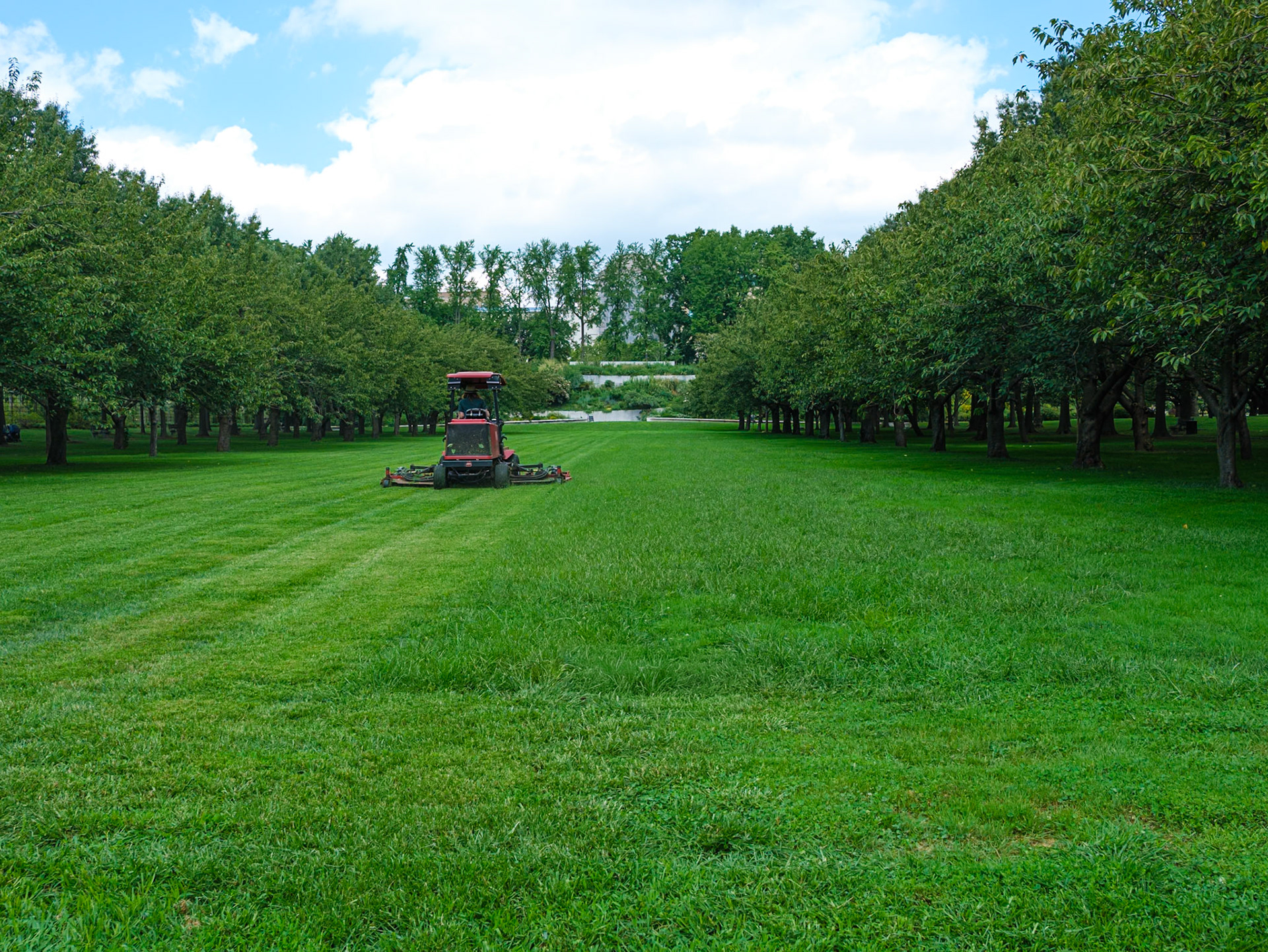 Main Lawn Brooklyn Botanic