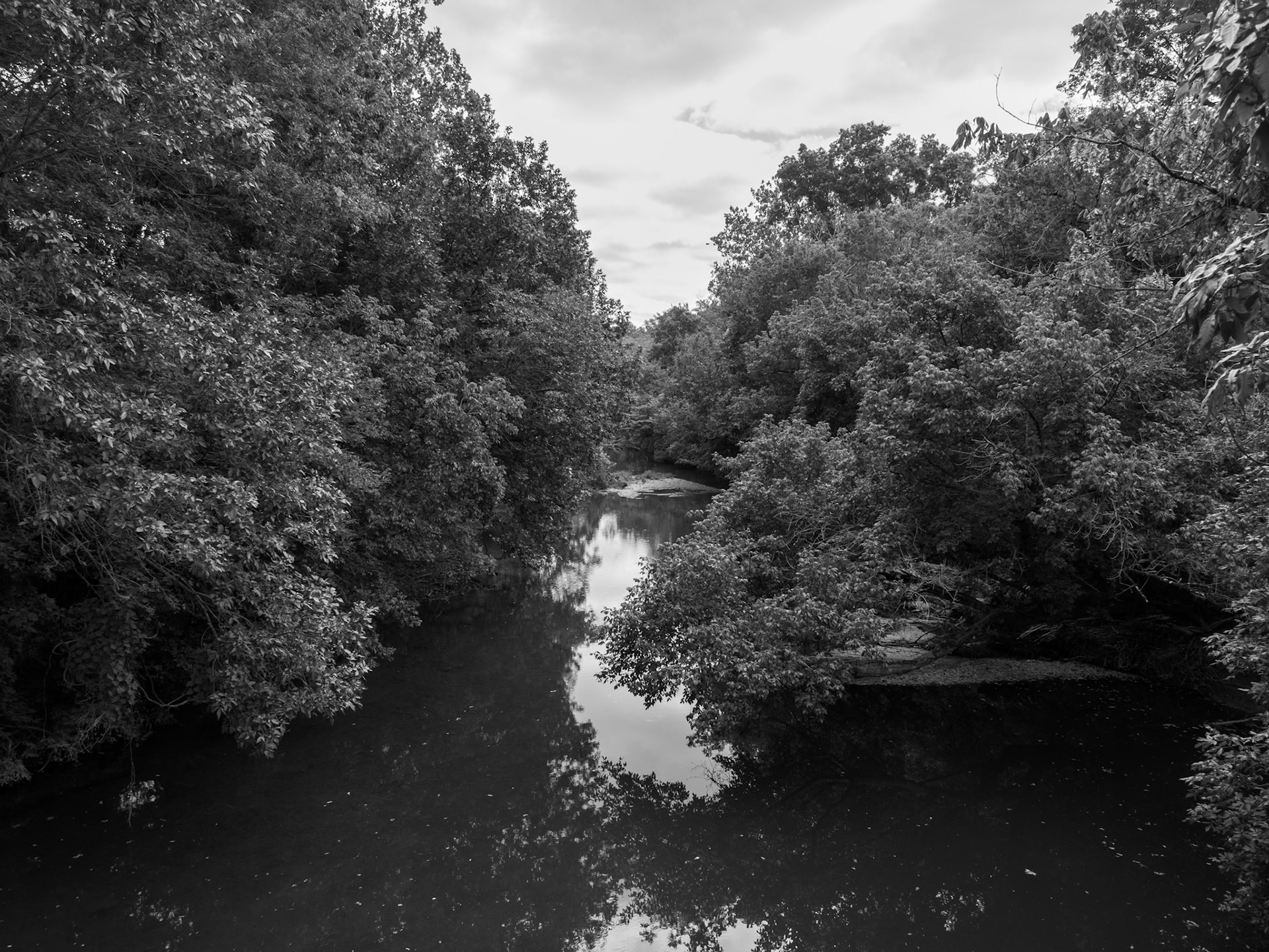 Reflected River Near Morris Arboretum August  2024